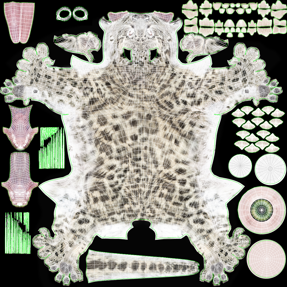 3D model Snow Leopard Cub Fur