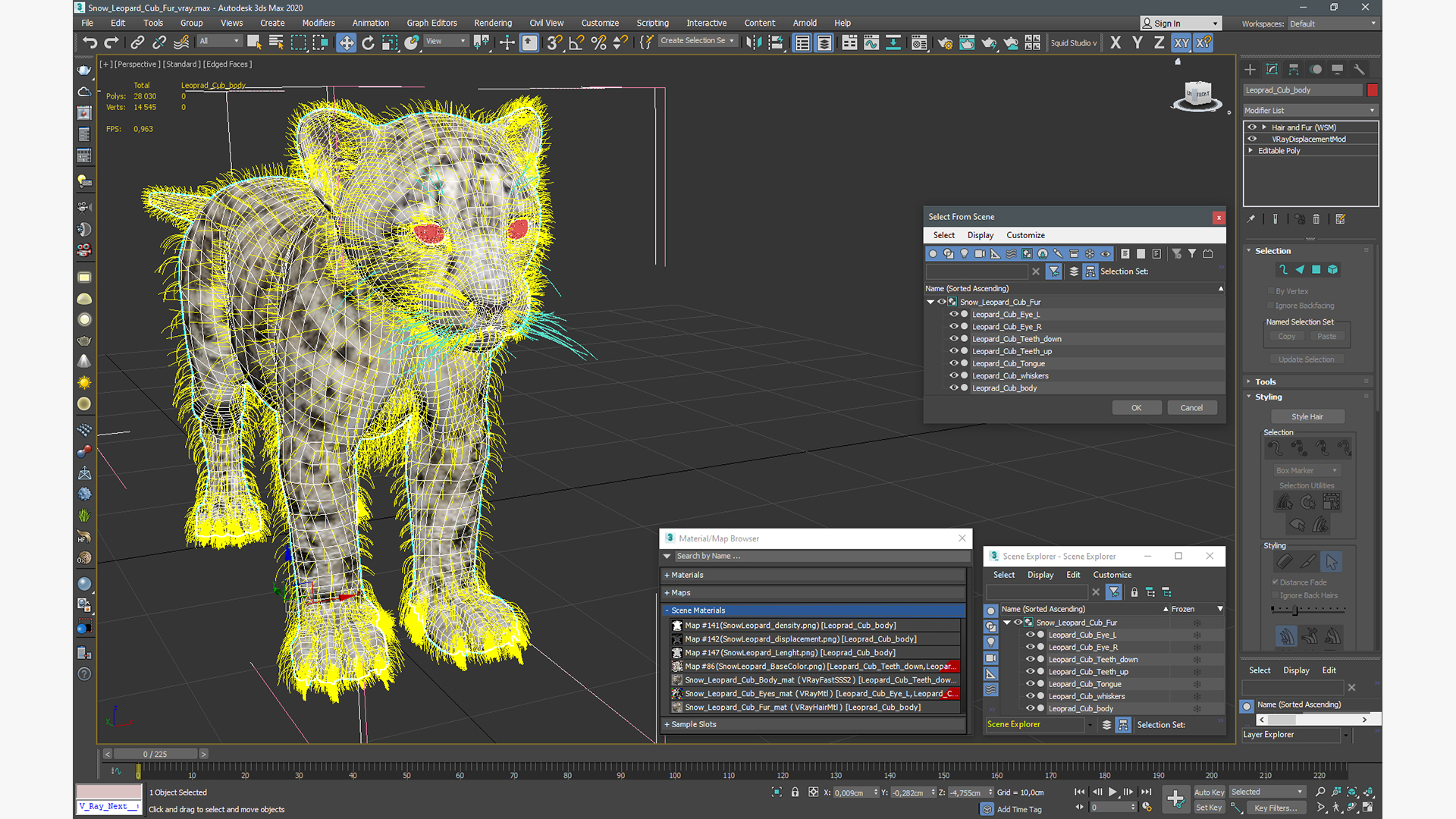 3D model Snow Leopard Cub Fur