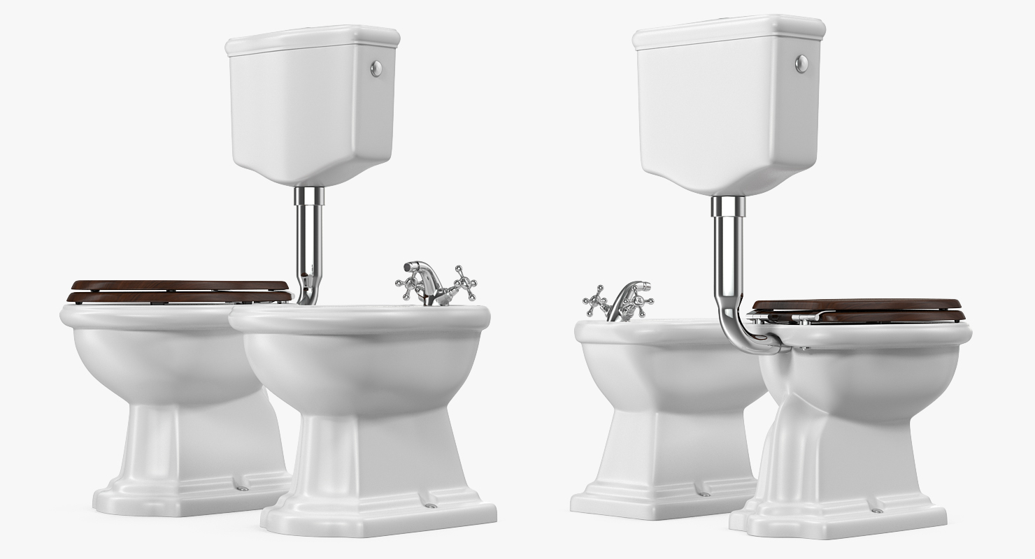 Old Style High Level Toilet and Bidet 3D