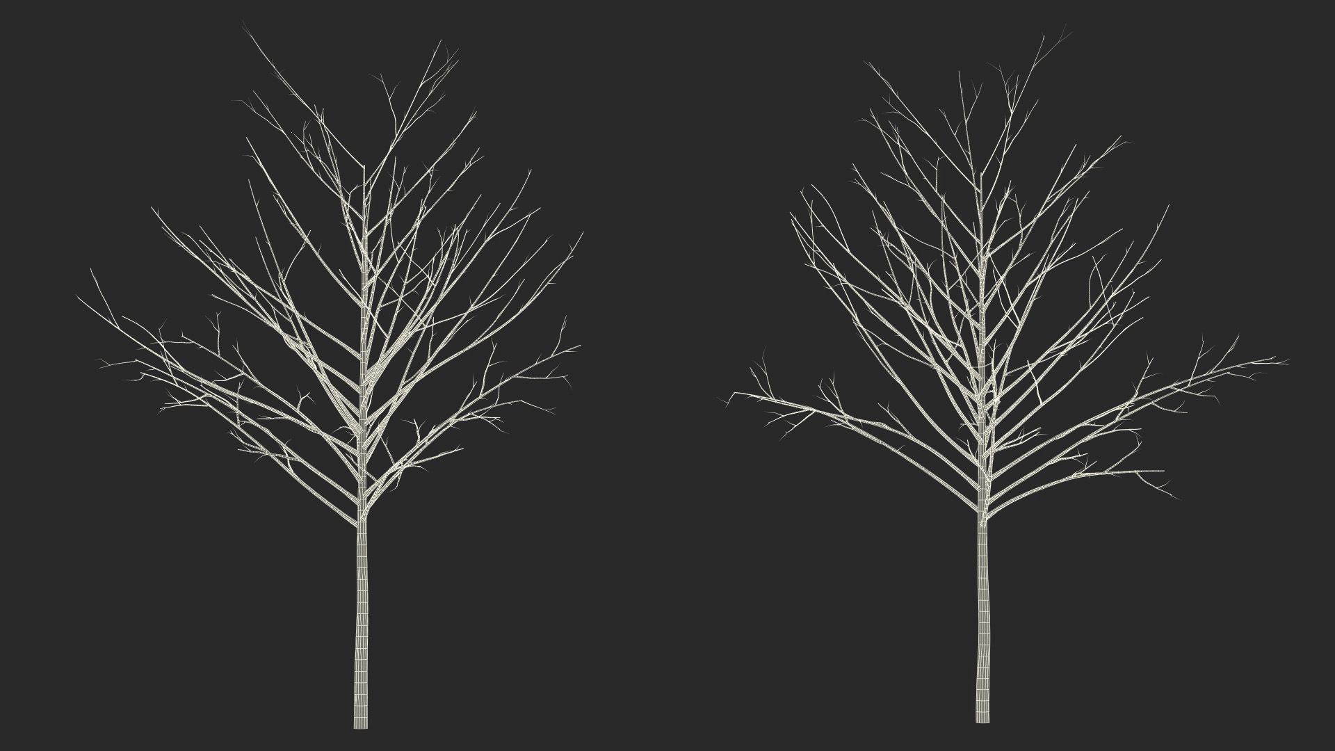 3D Bare Winter Tree