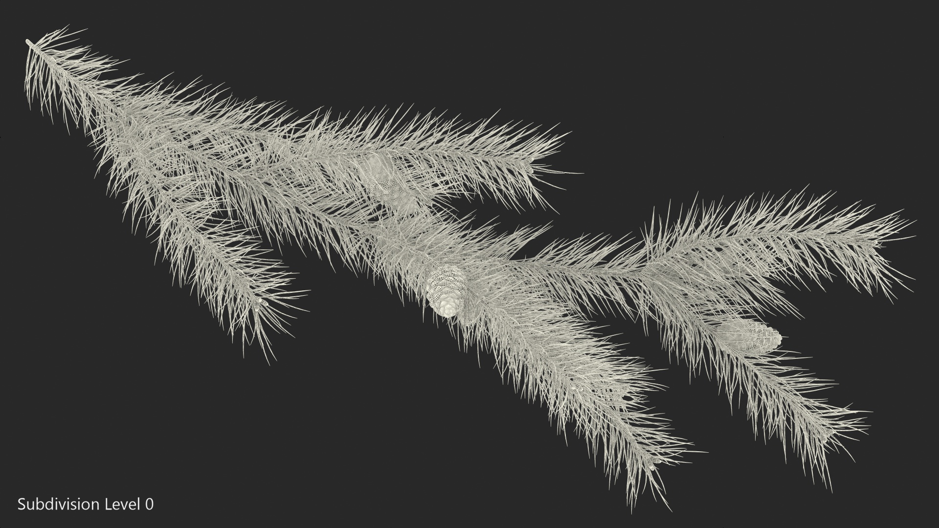 Pine Branch with Cones 3D