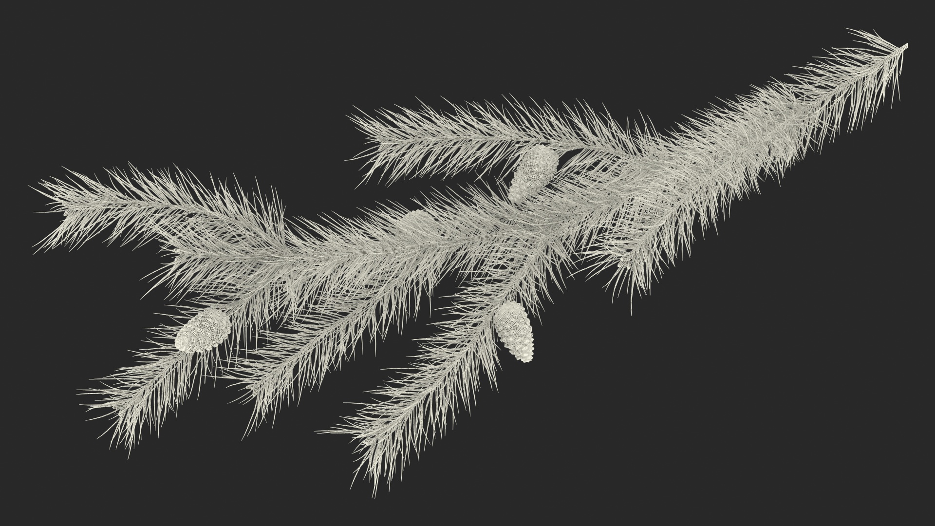 Pine Branch with Cones 3D