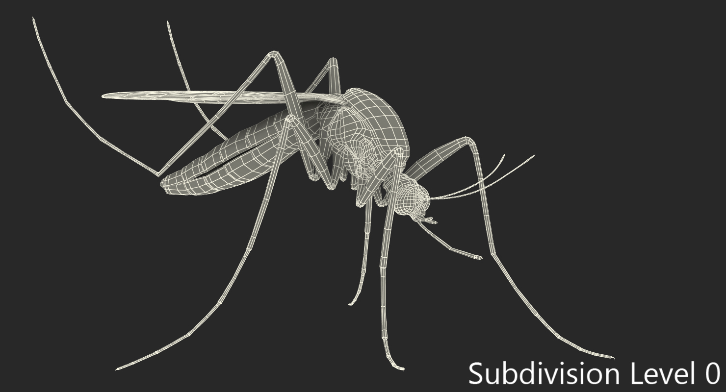 3D model Mosquito Pose 3