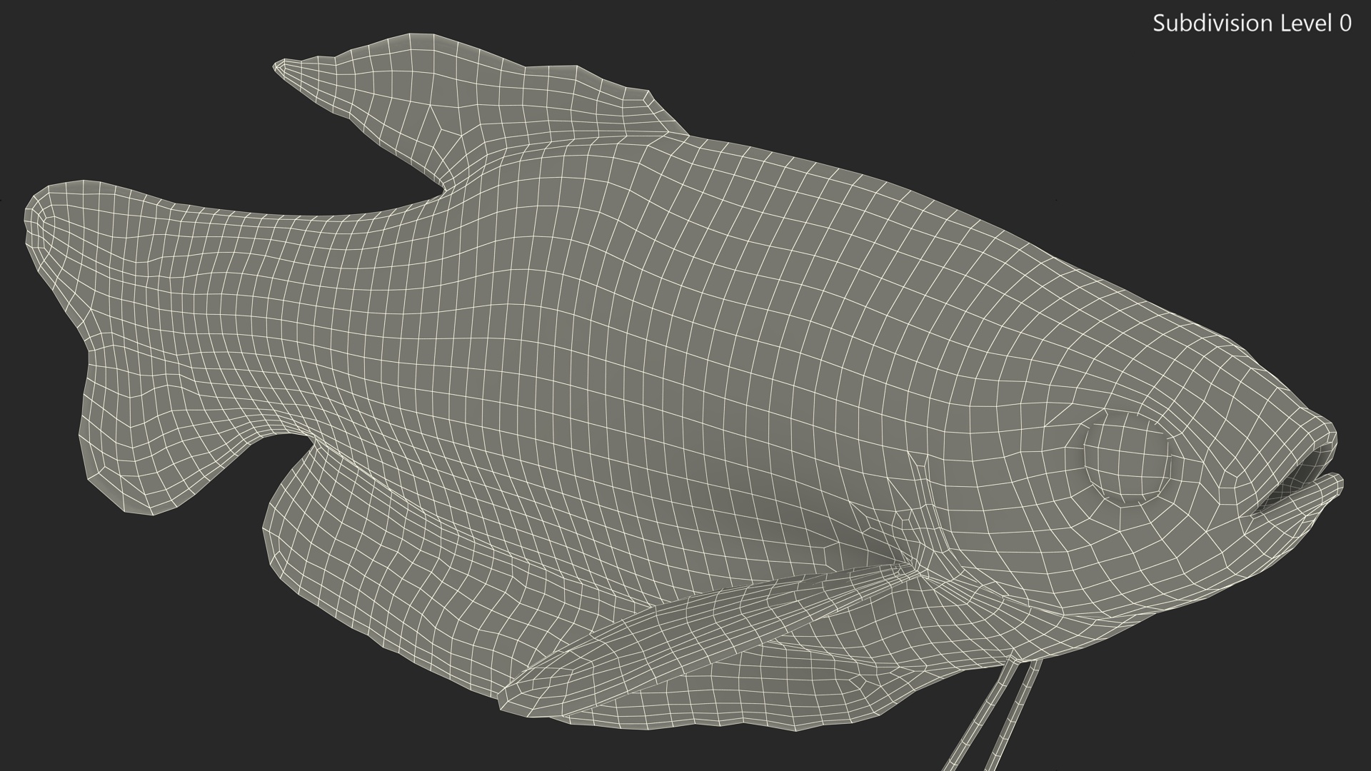 3D model Marbled Gourami Fish