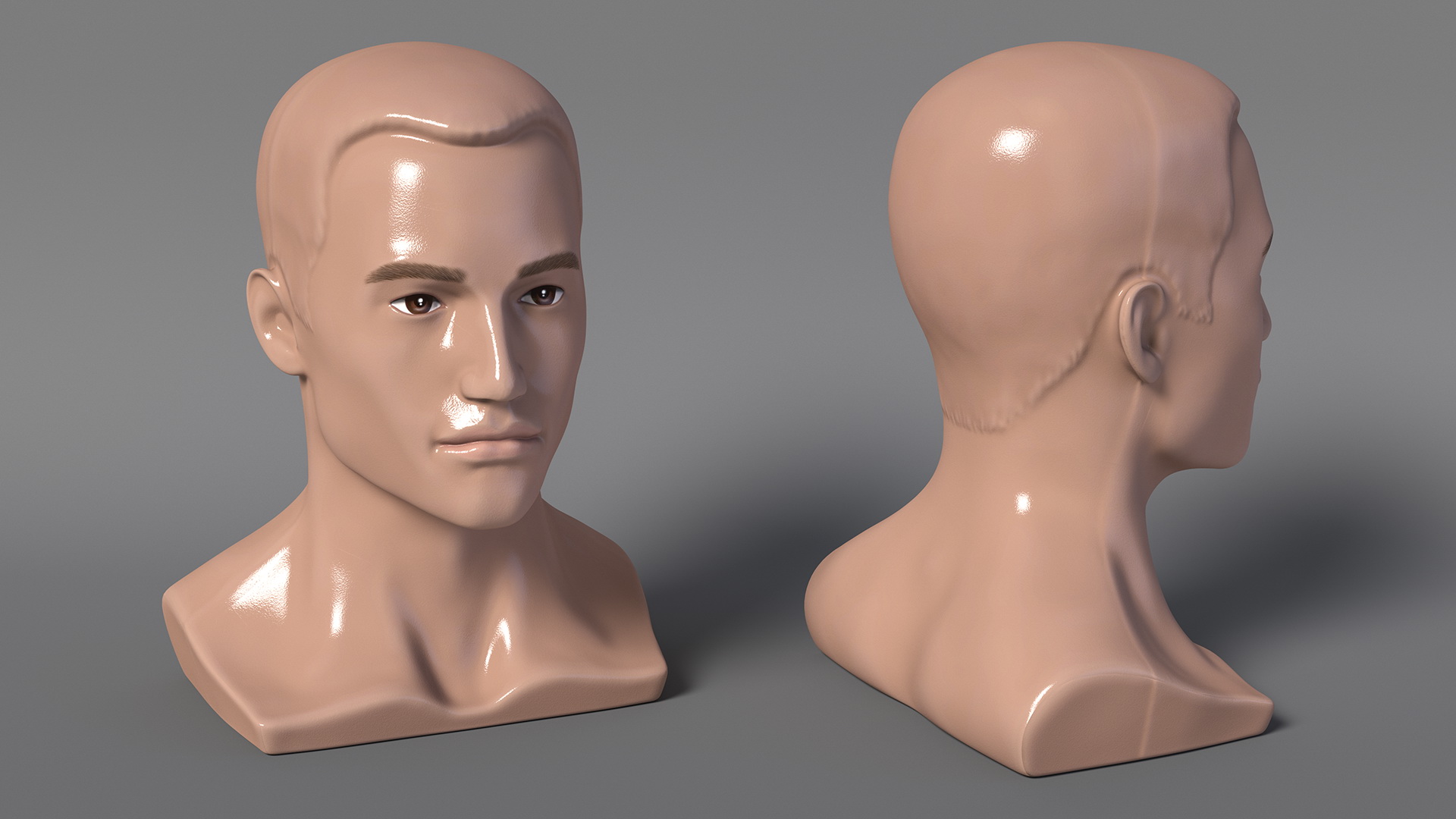 Plastic Male Mannequin Head with Hair 3D