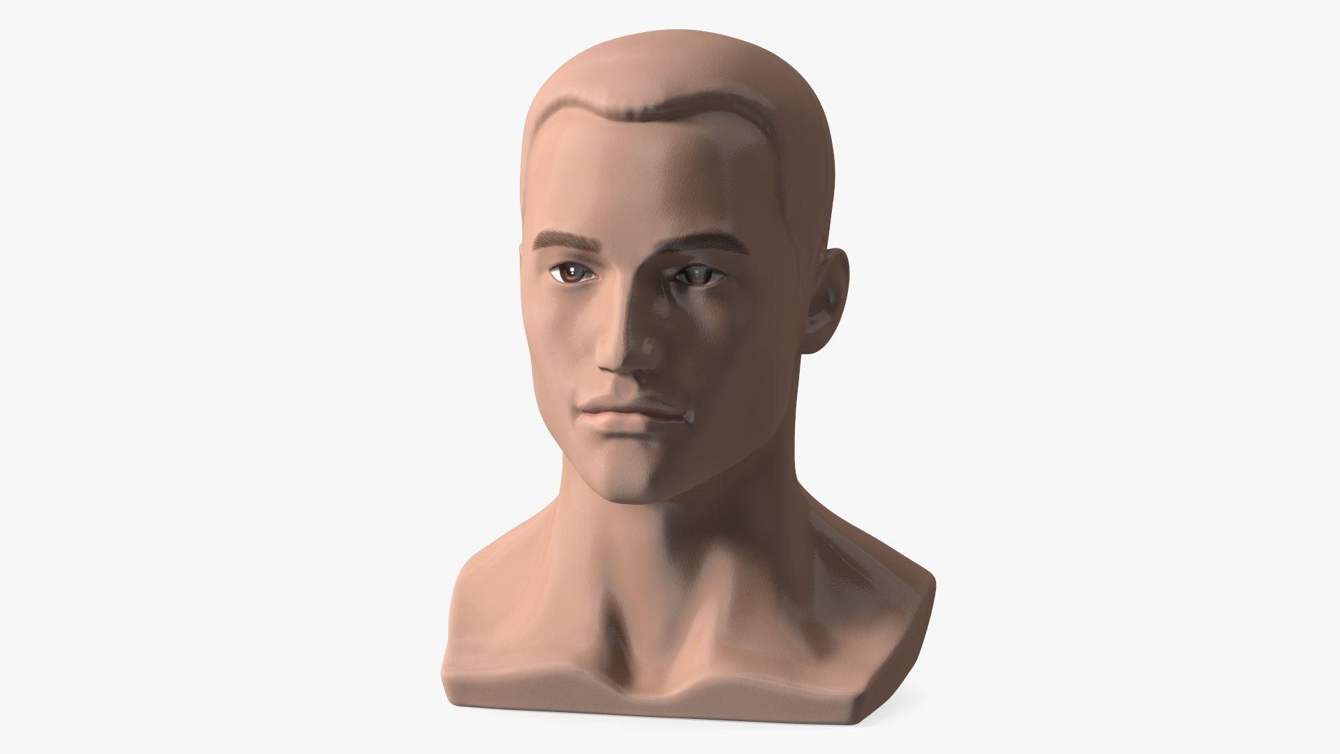 Plastic Male Mannequin Head with Hair 3D