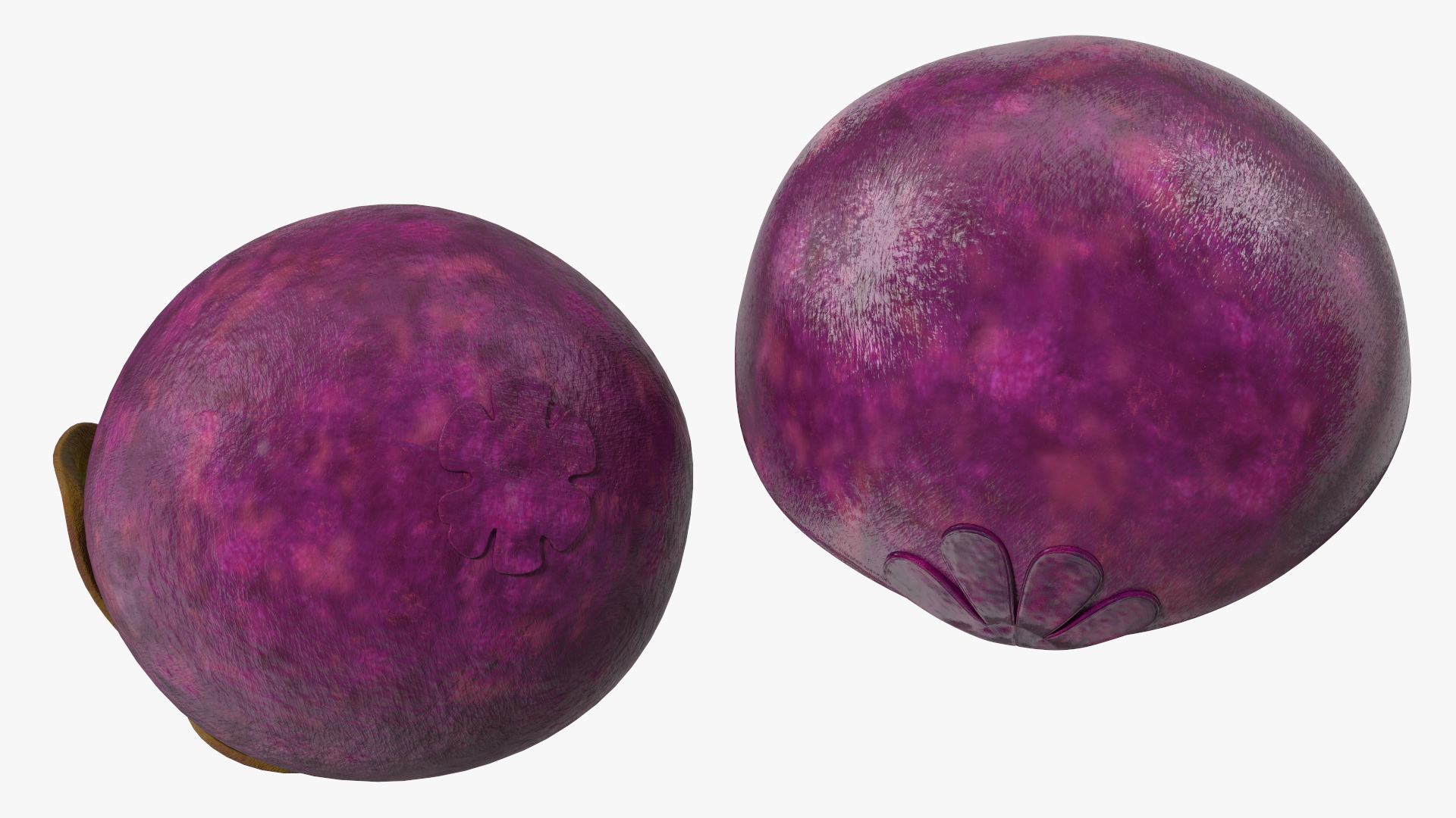 3D Purple Mangosteen Whole and Half Cut