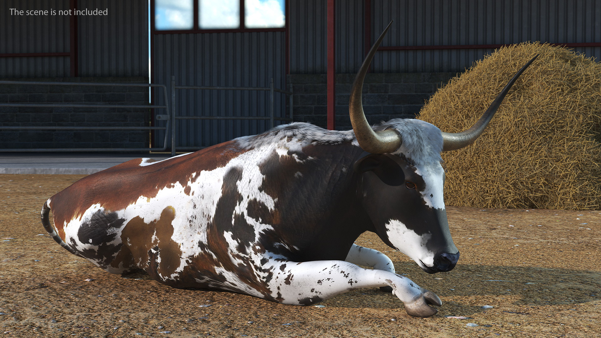 3D Lying Longhorn Bull Mottled Brown model