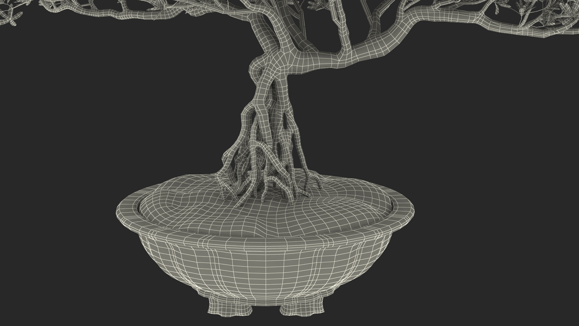 Small Bonsai in Pot 3D model