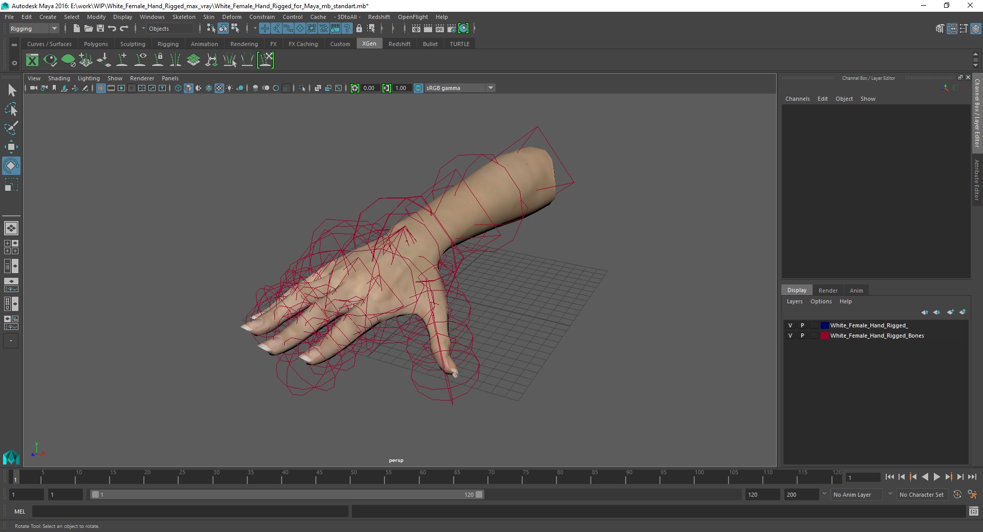 3D White Female Hand Rigged for Maya model