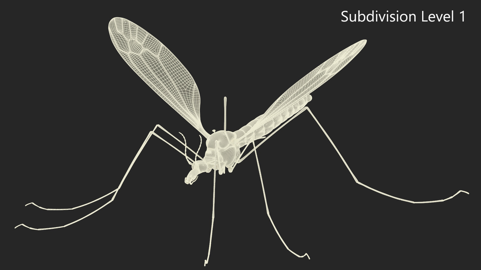 3D Crane Fly Gallinipper Mosquito Rigged for Maya