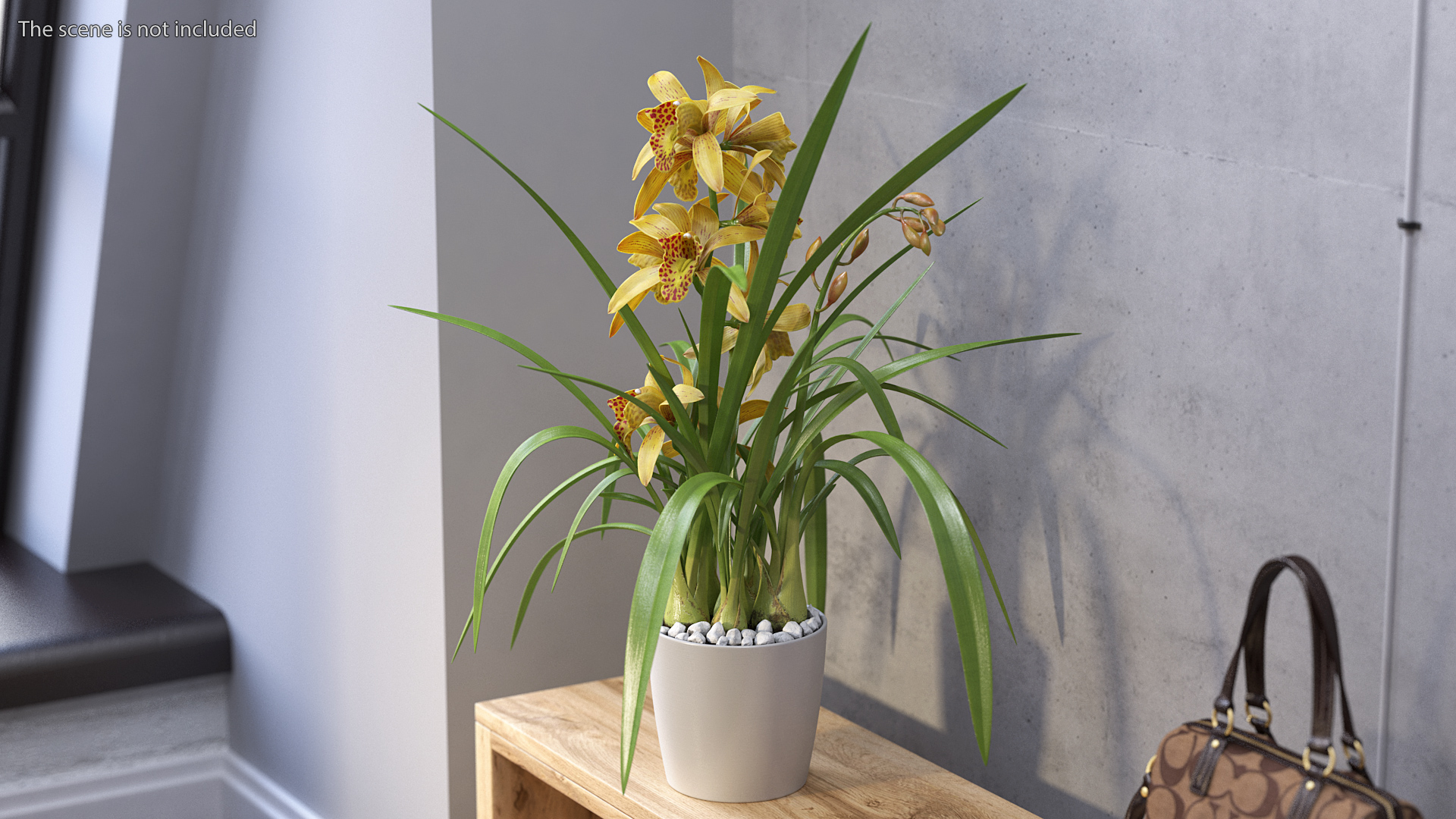 3D Yellow Orchid Flower Pot Fur model