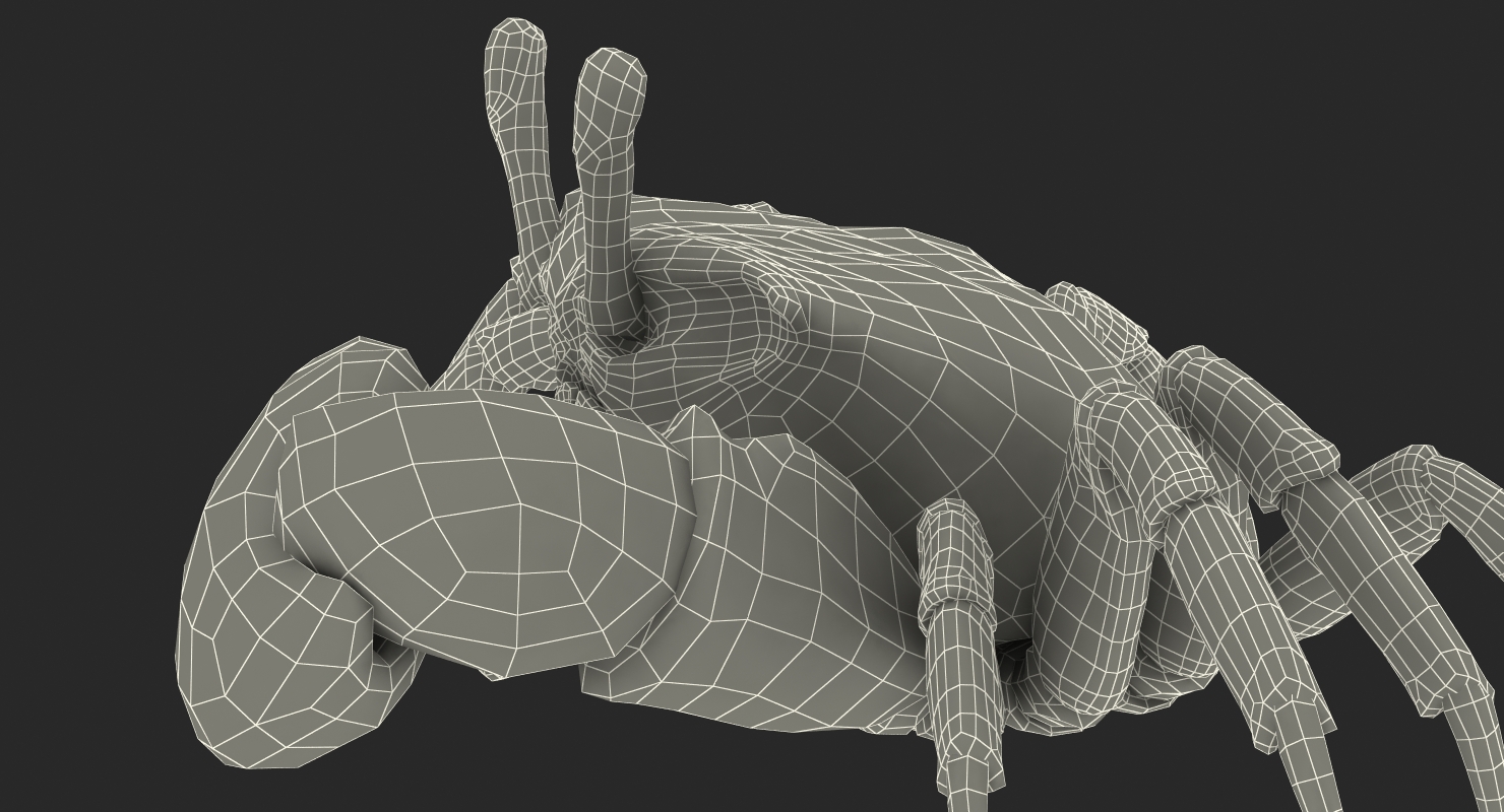 3D model Calling Crab Sitting Pose