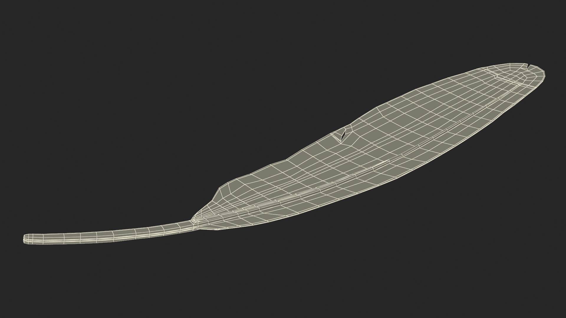 3D Amazon Parrot Feather