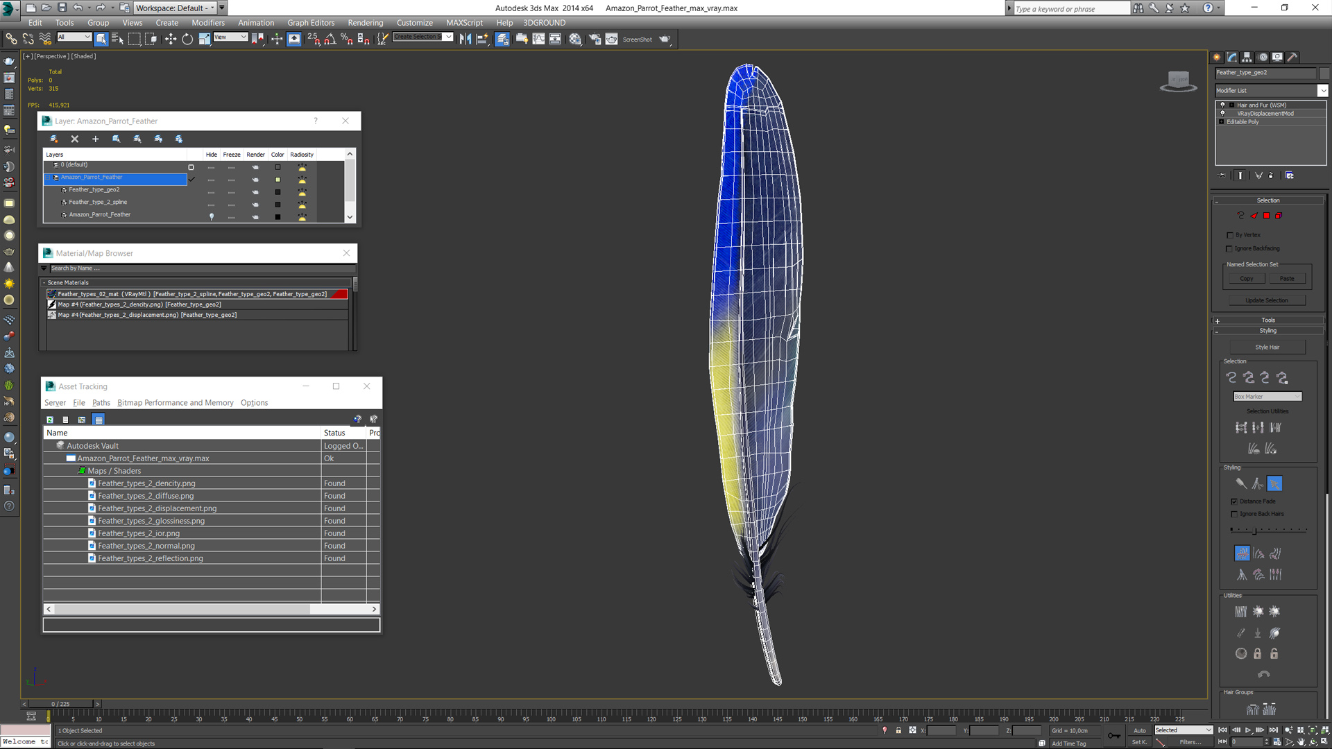 3D Amazon Parrot Feather