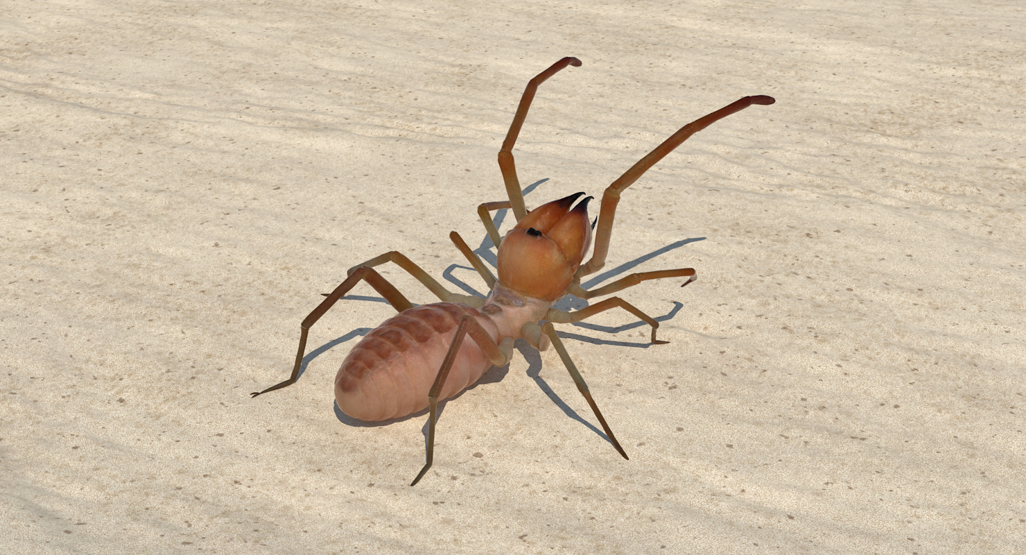 3D model Wind Scorpion Spider