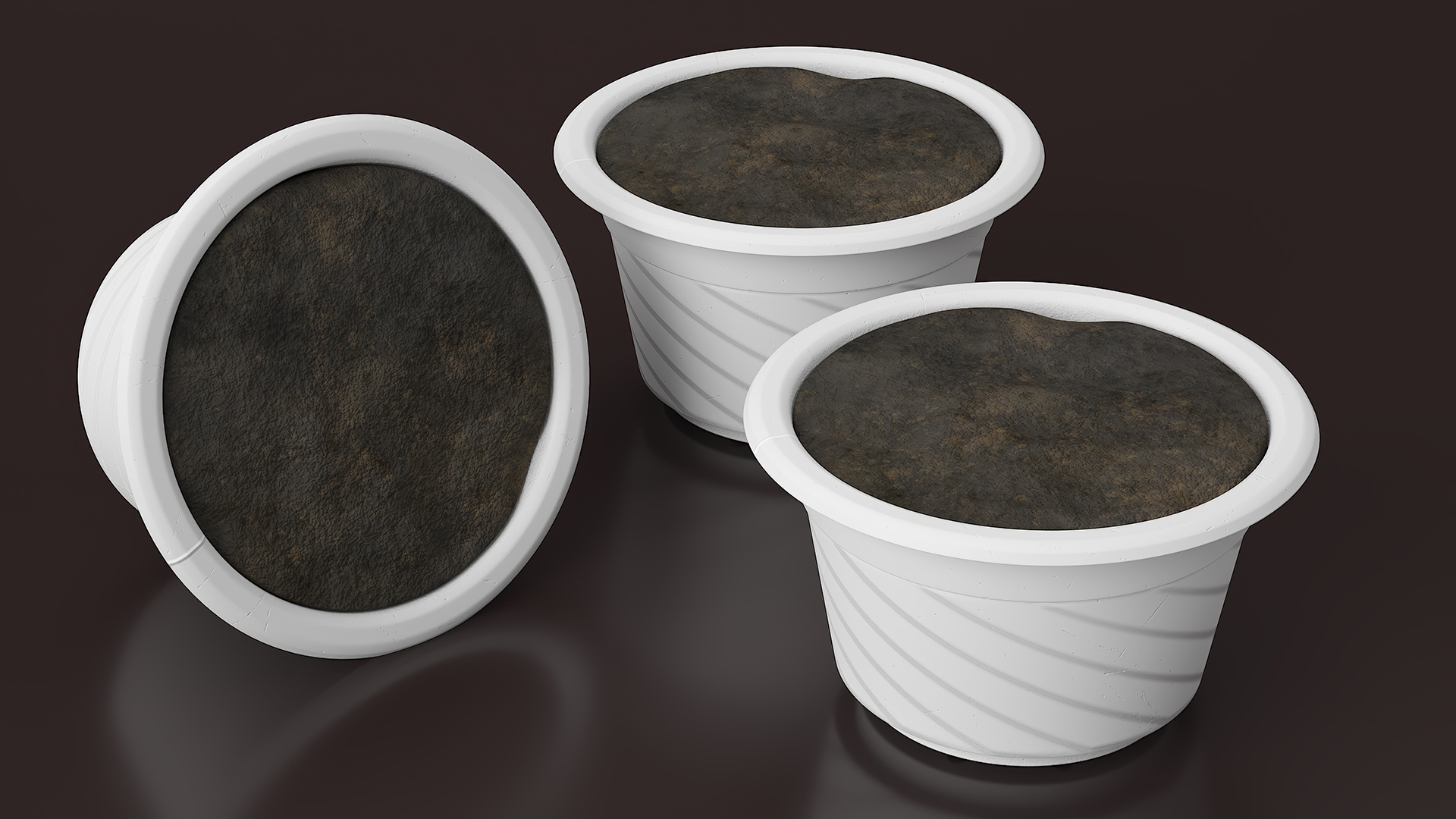 Plant Pot with Soil 3D model