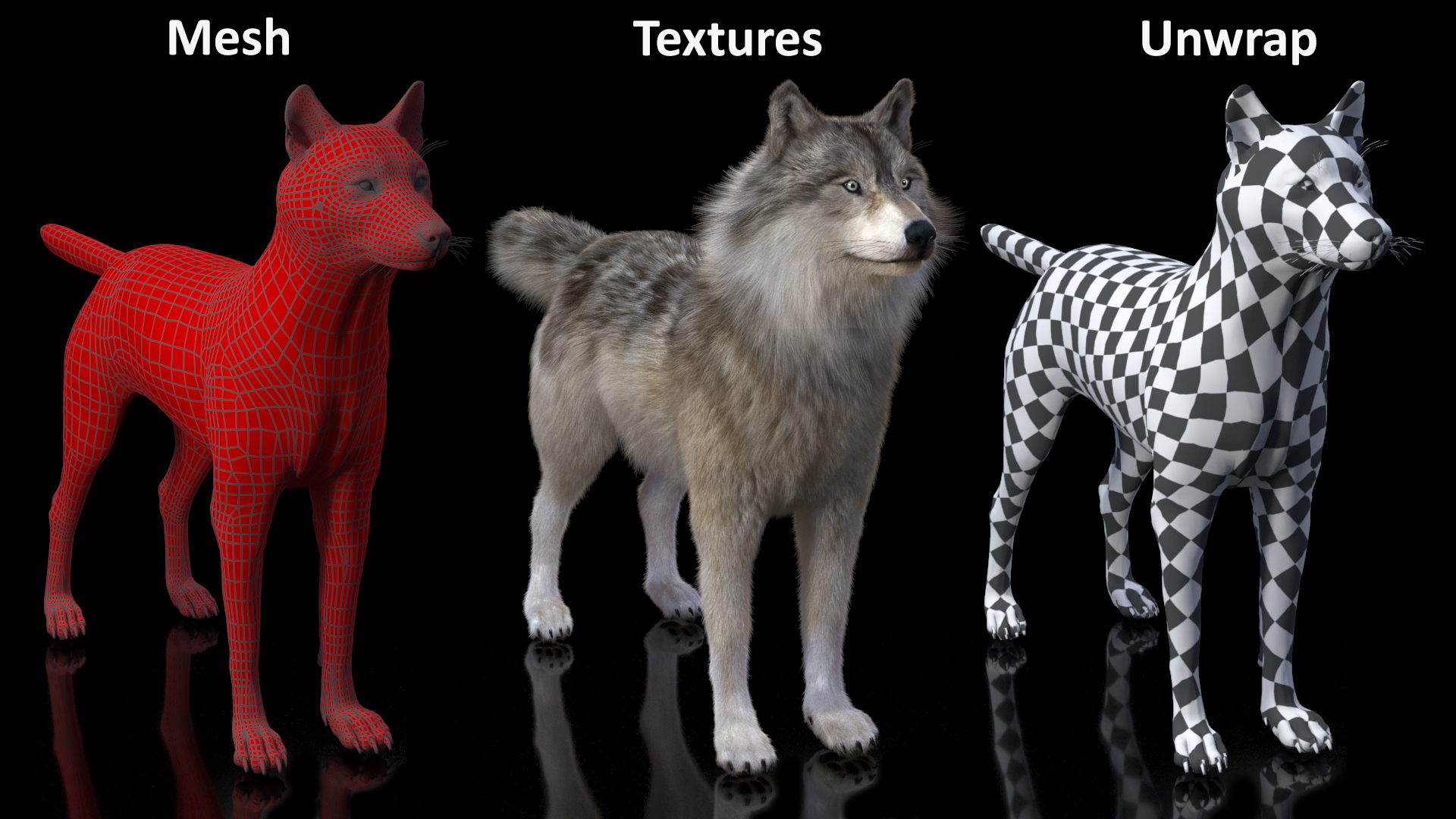 3D Grey Wolf Fur model