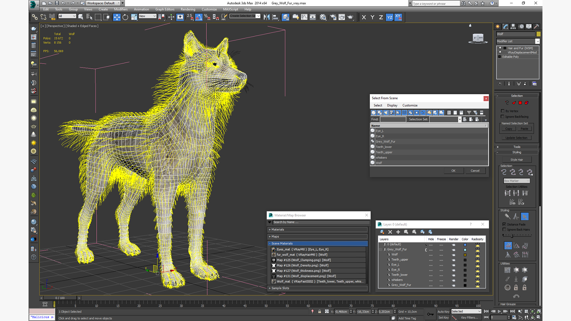 3D Grey Wolf Fur model