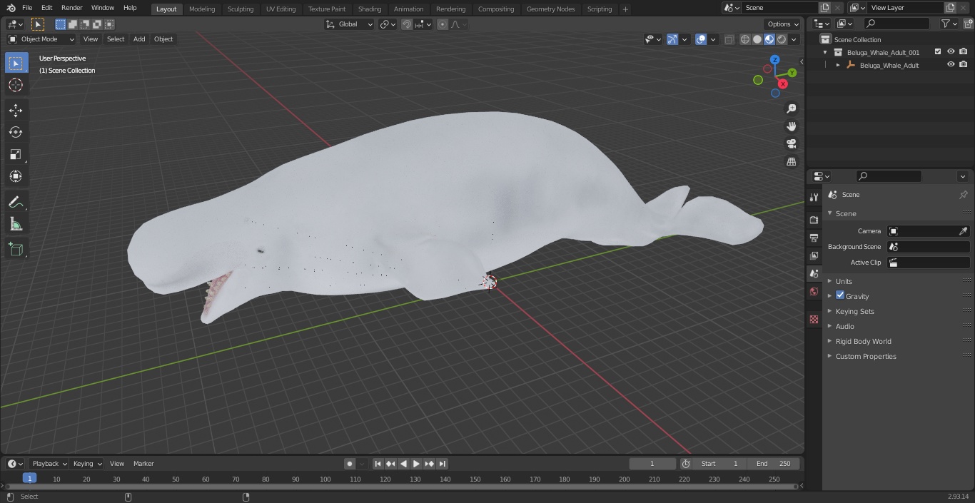 3D Beluga Whale Adult model