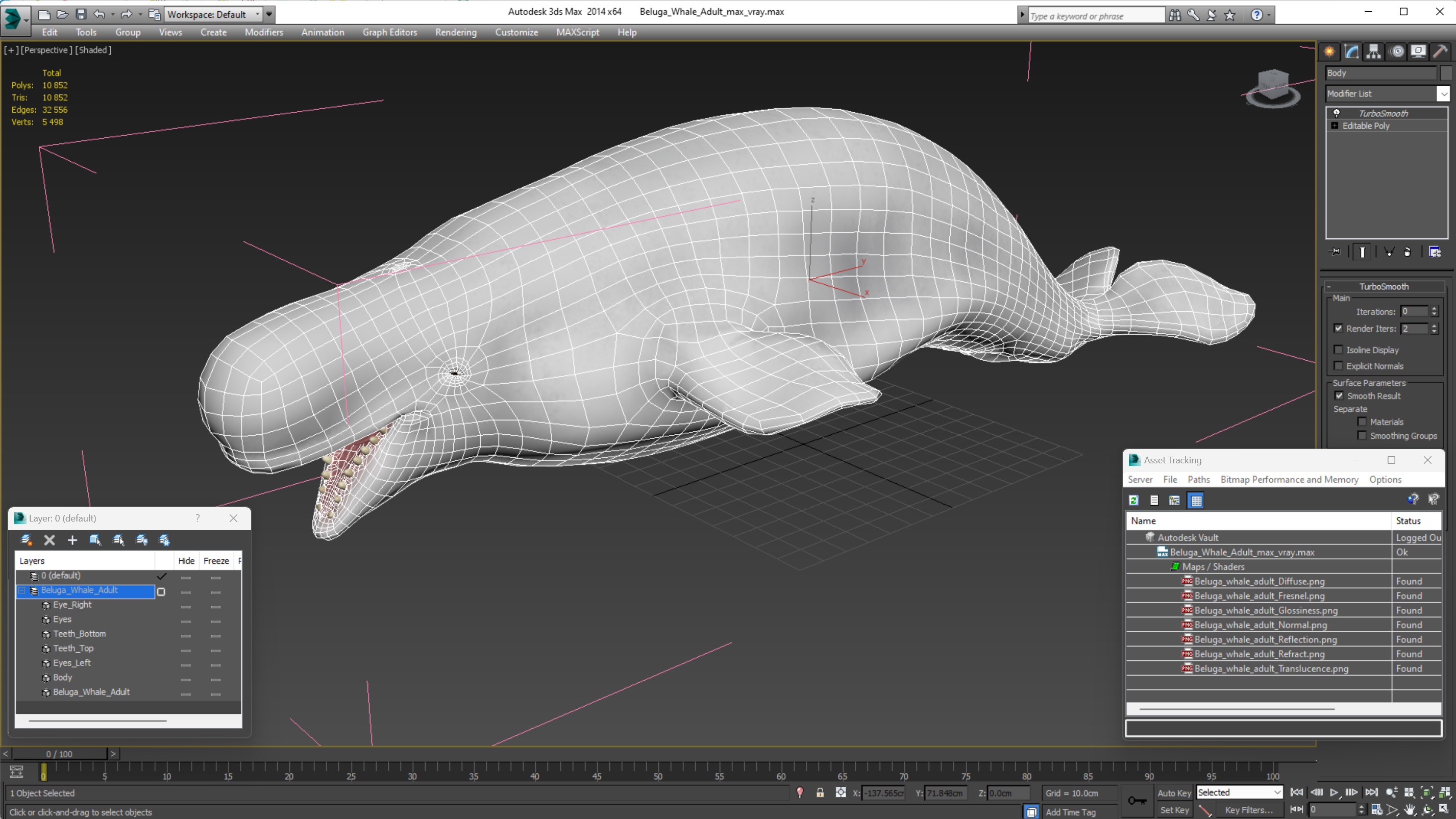 3D Beluga Whale Adult model