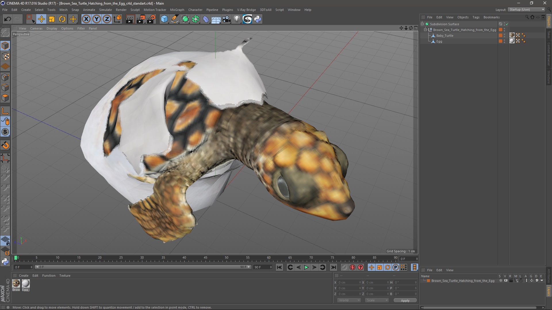 3D Brown Sea Turtle Hatching from the Egg model