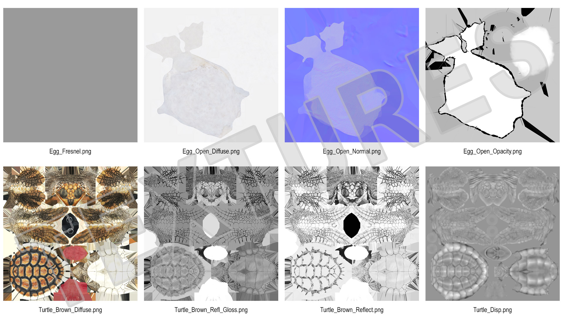 3D Brown Sea Turtle Hatching from the Egg model