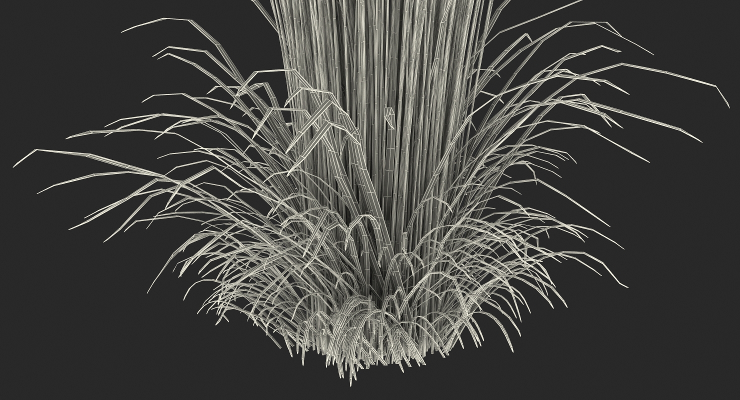 3D model Decorative Grass Karl Foerster