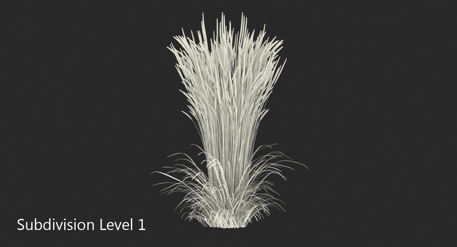 3D model Decorative Grass Karl Foerster