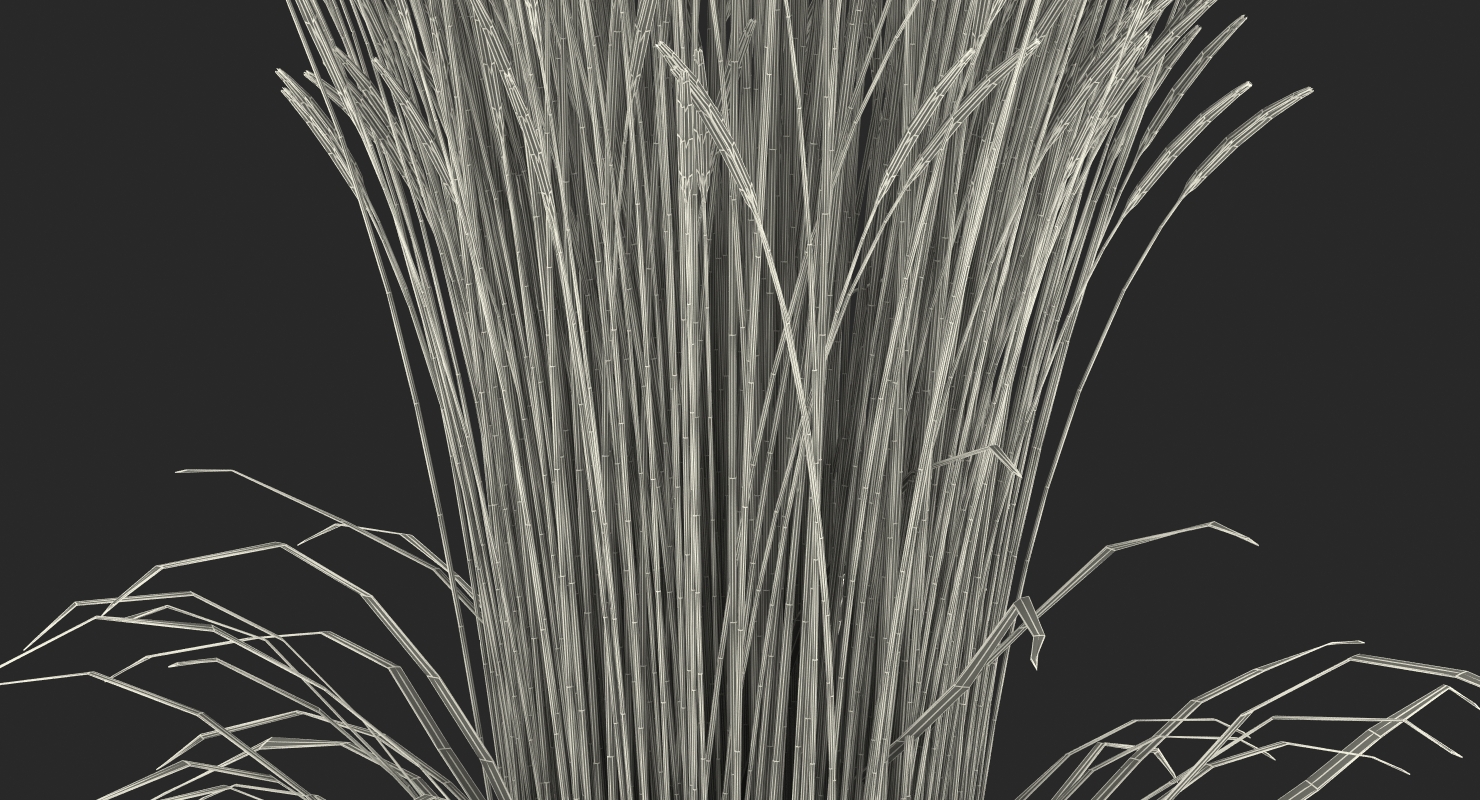 3D model Decorative Grass Karl Foerster