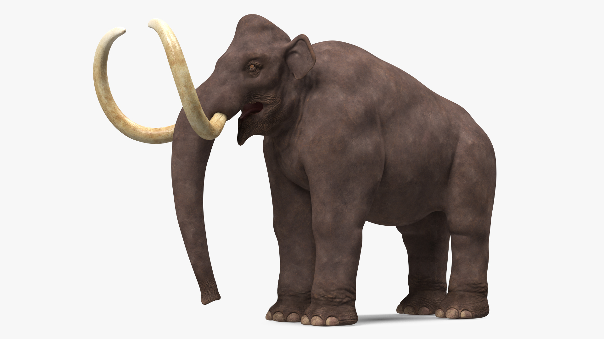 3D Mammoth Adult model