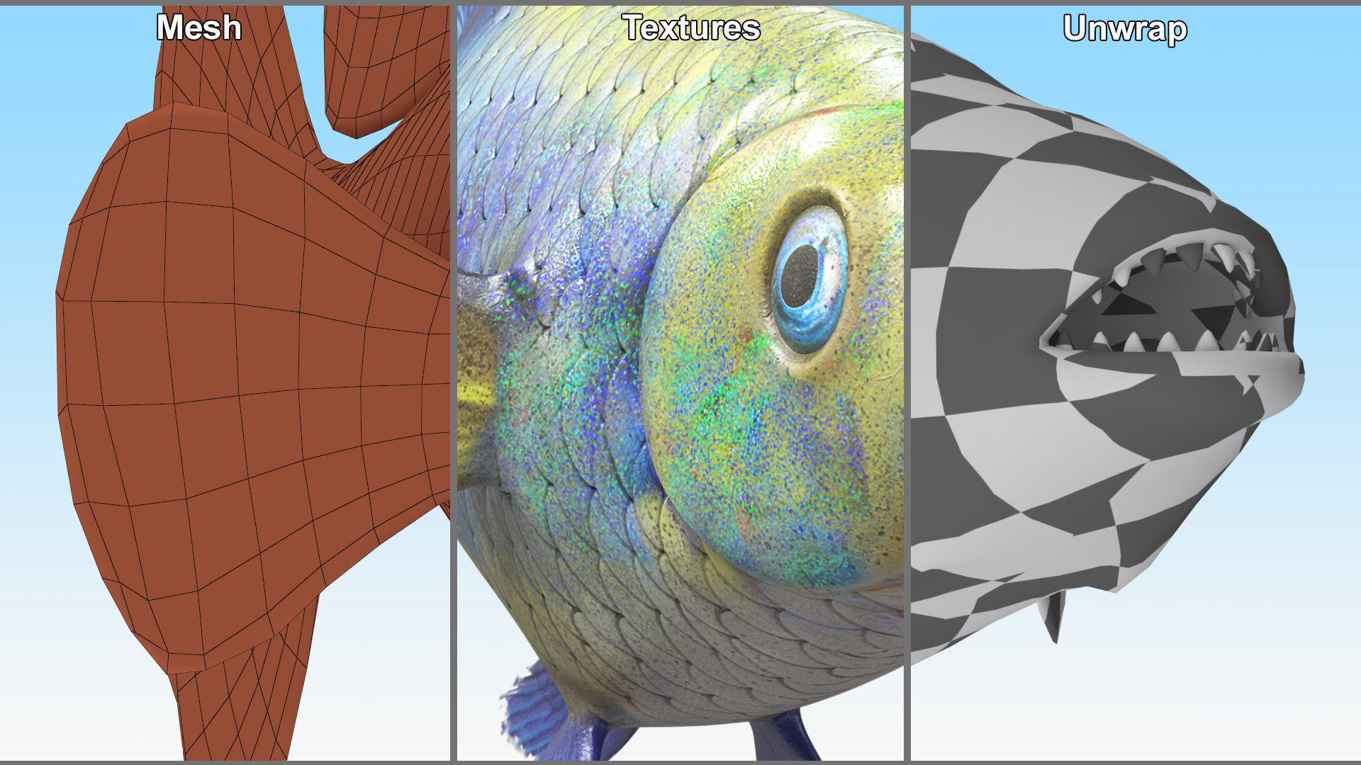 3D Guppy Fish Blue Diamond model