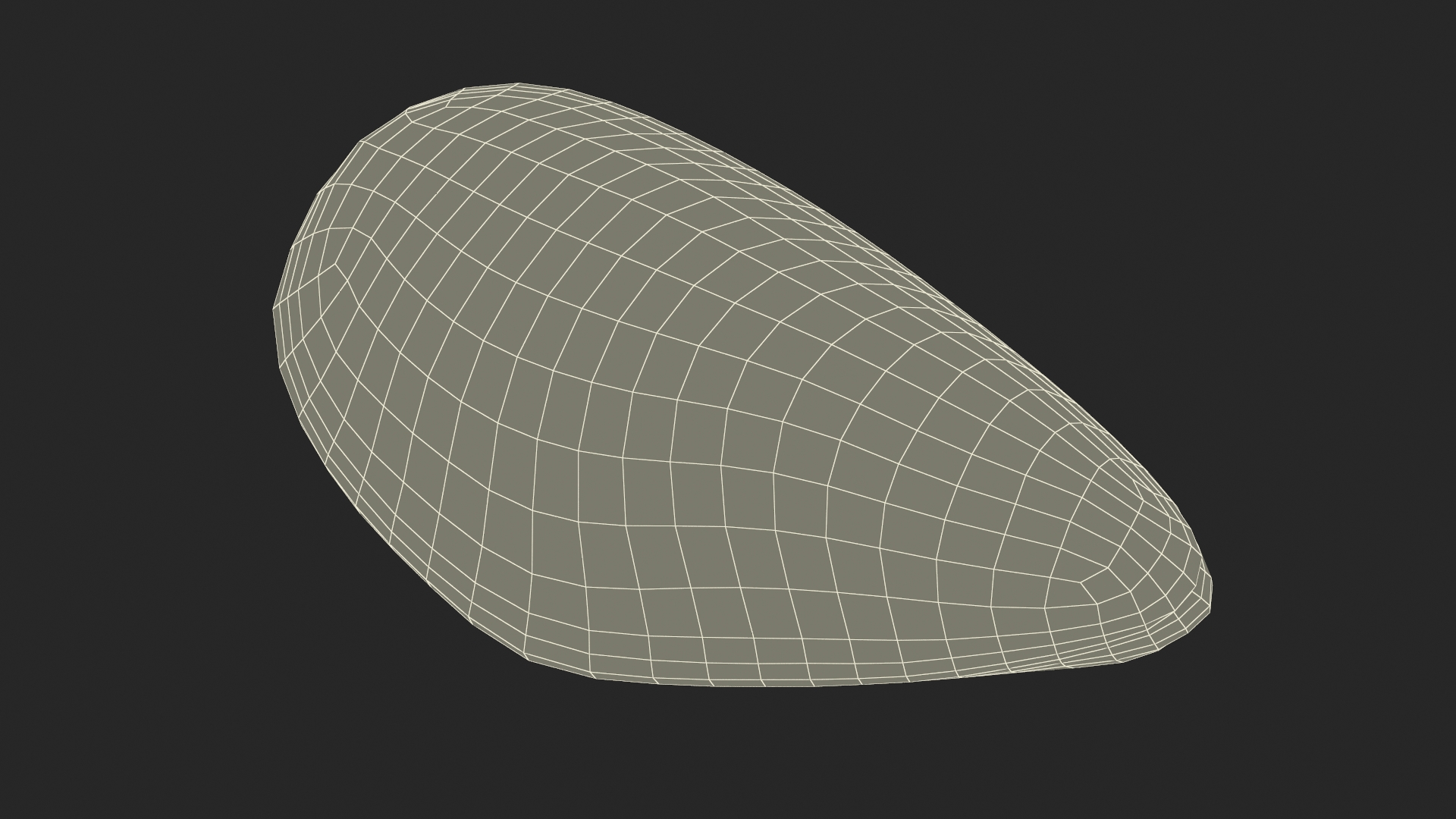 Closed Mussel Shell 3D model