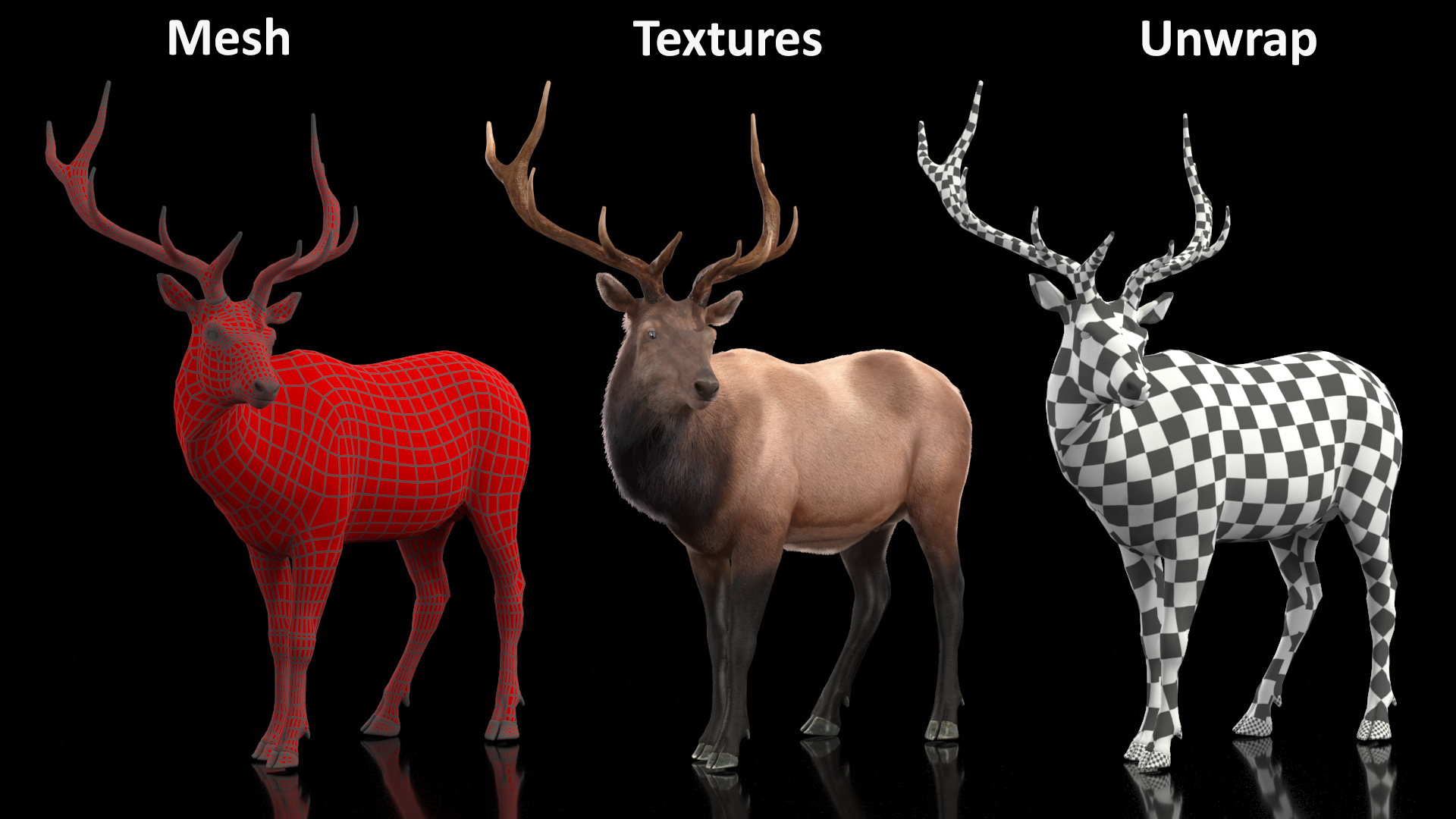 Realistic Elk Rigged with Fur 3D model