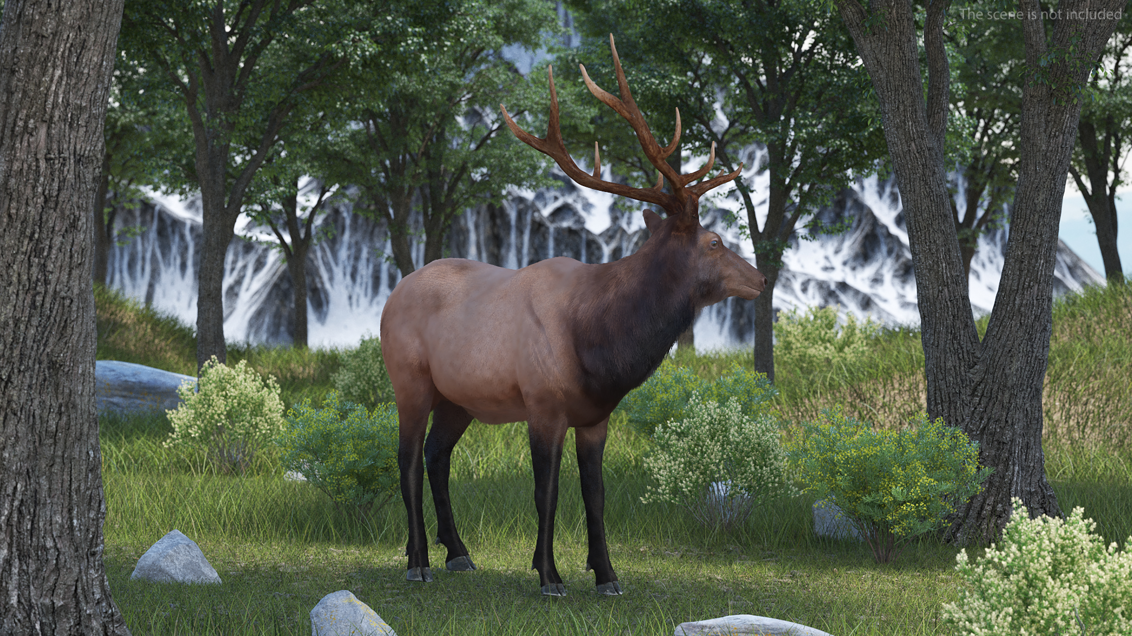 Realistic Elk Rigged with Fur 3D model