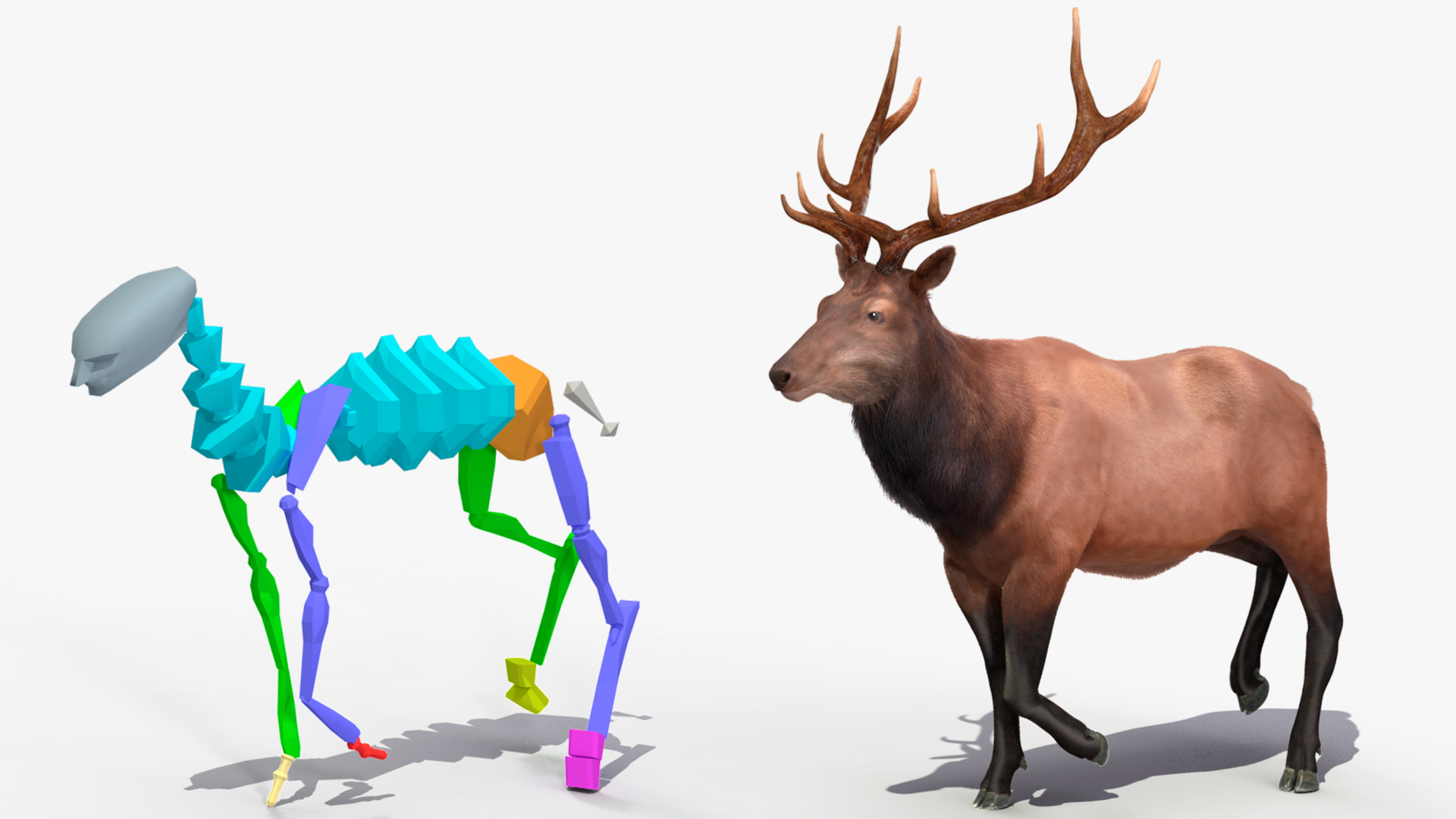 Realistic Elk Rigged with Fur 3D model