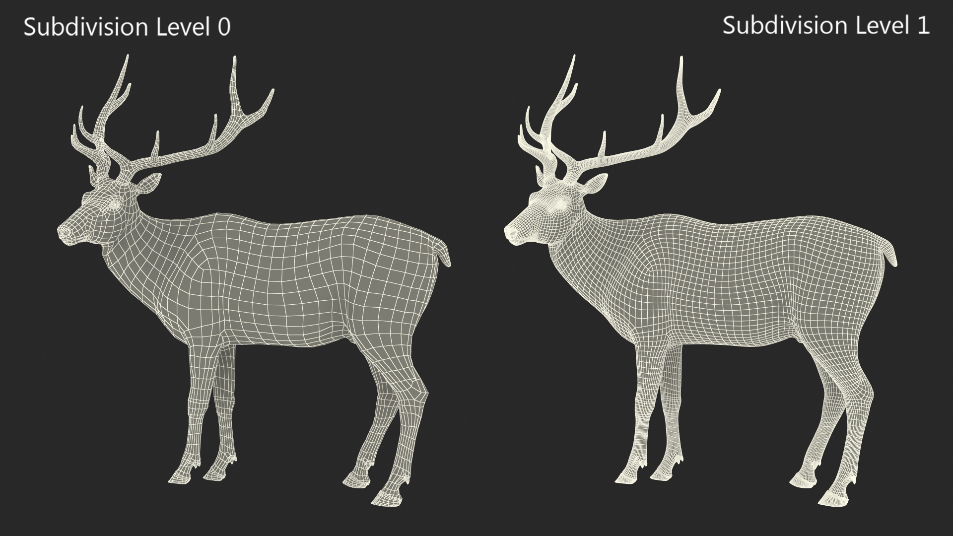 Realistic Elk Rigged with Fur 3D model