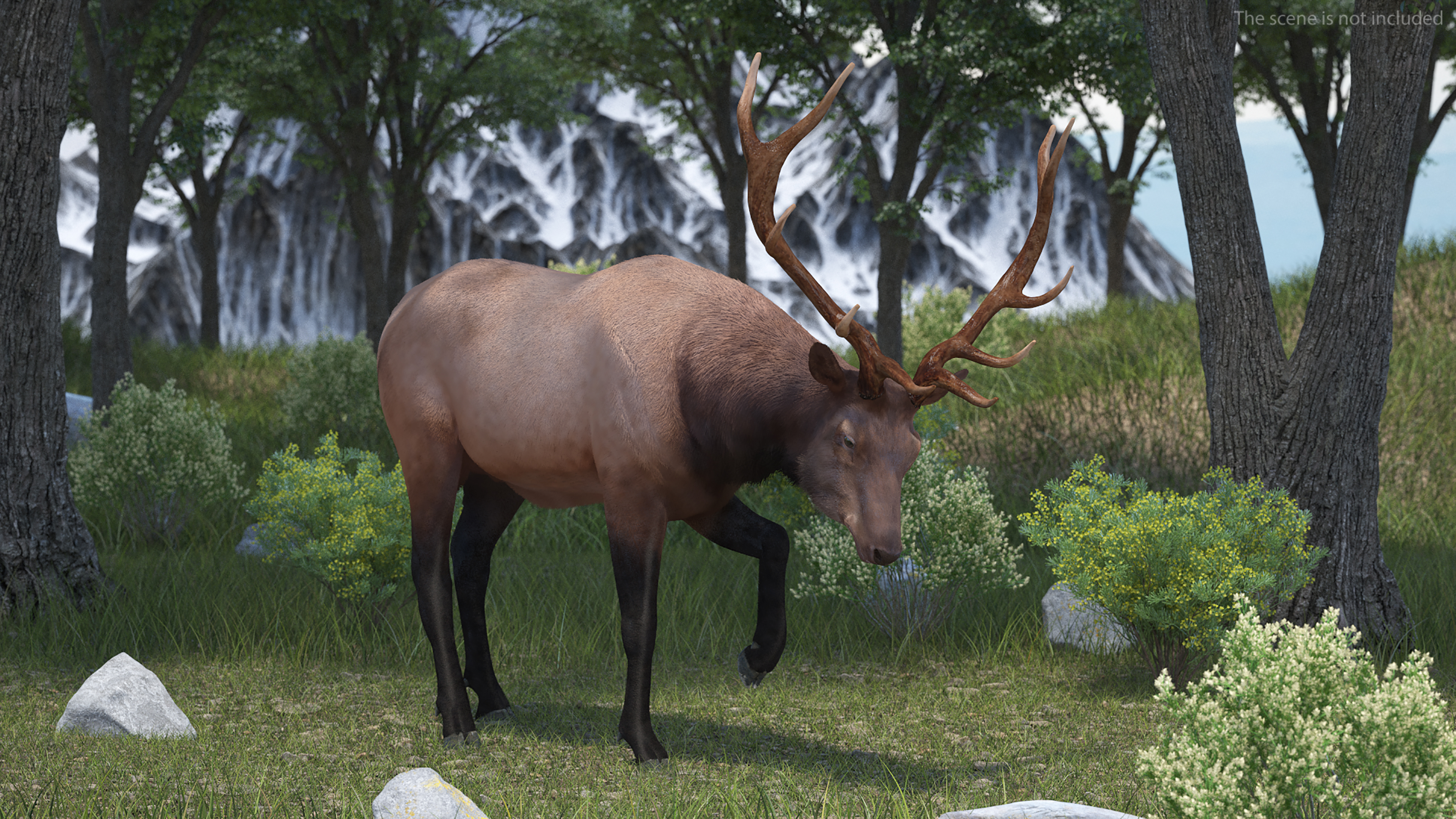 Realistic Elk Rigged with Fur 3D model