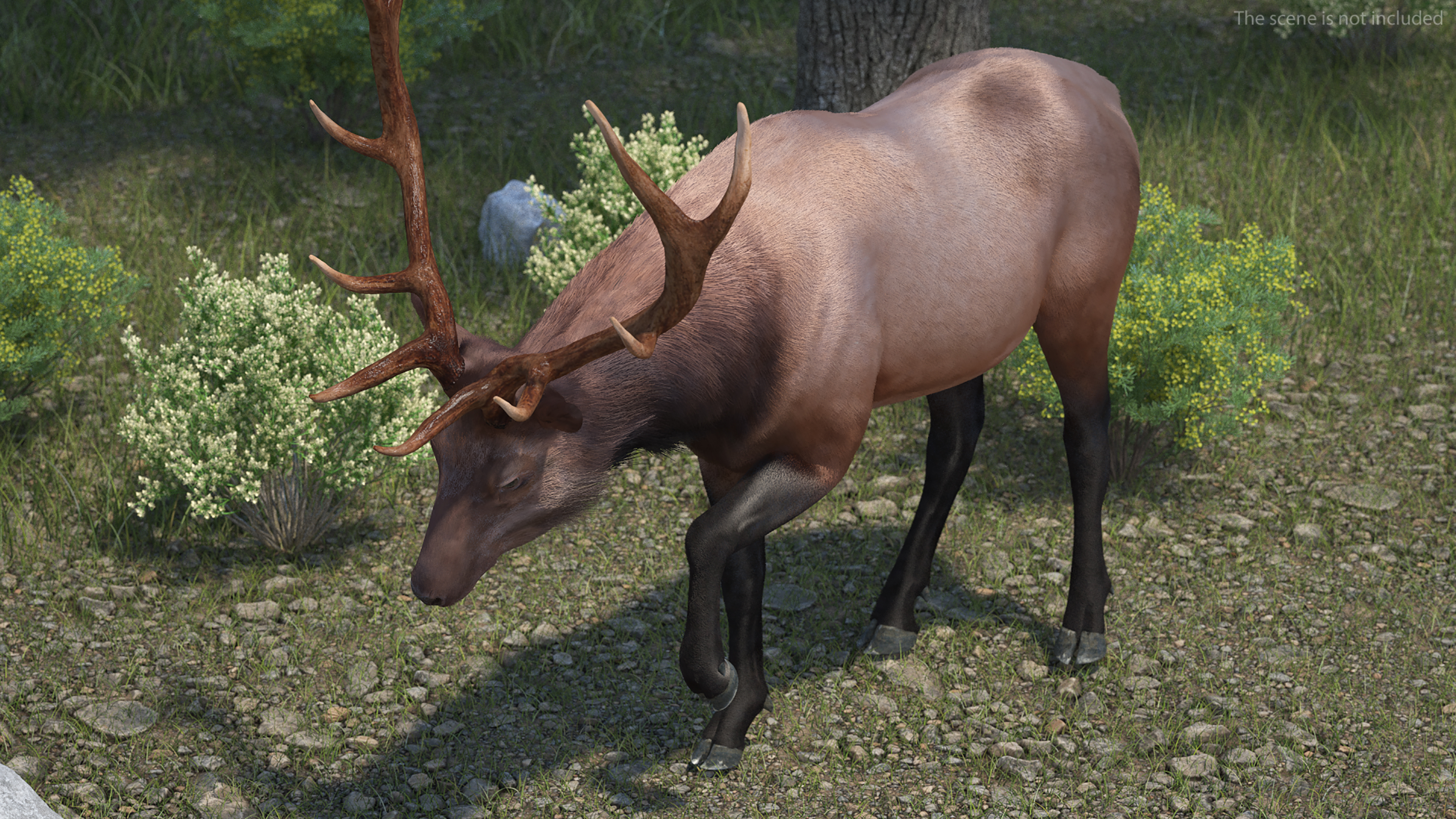 Realistic Elk Rigged with Fur 3D model