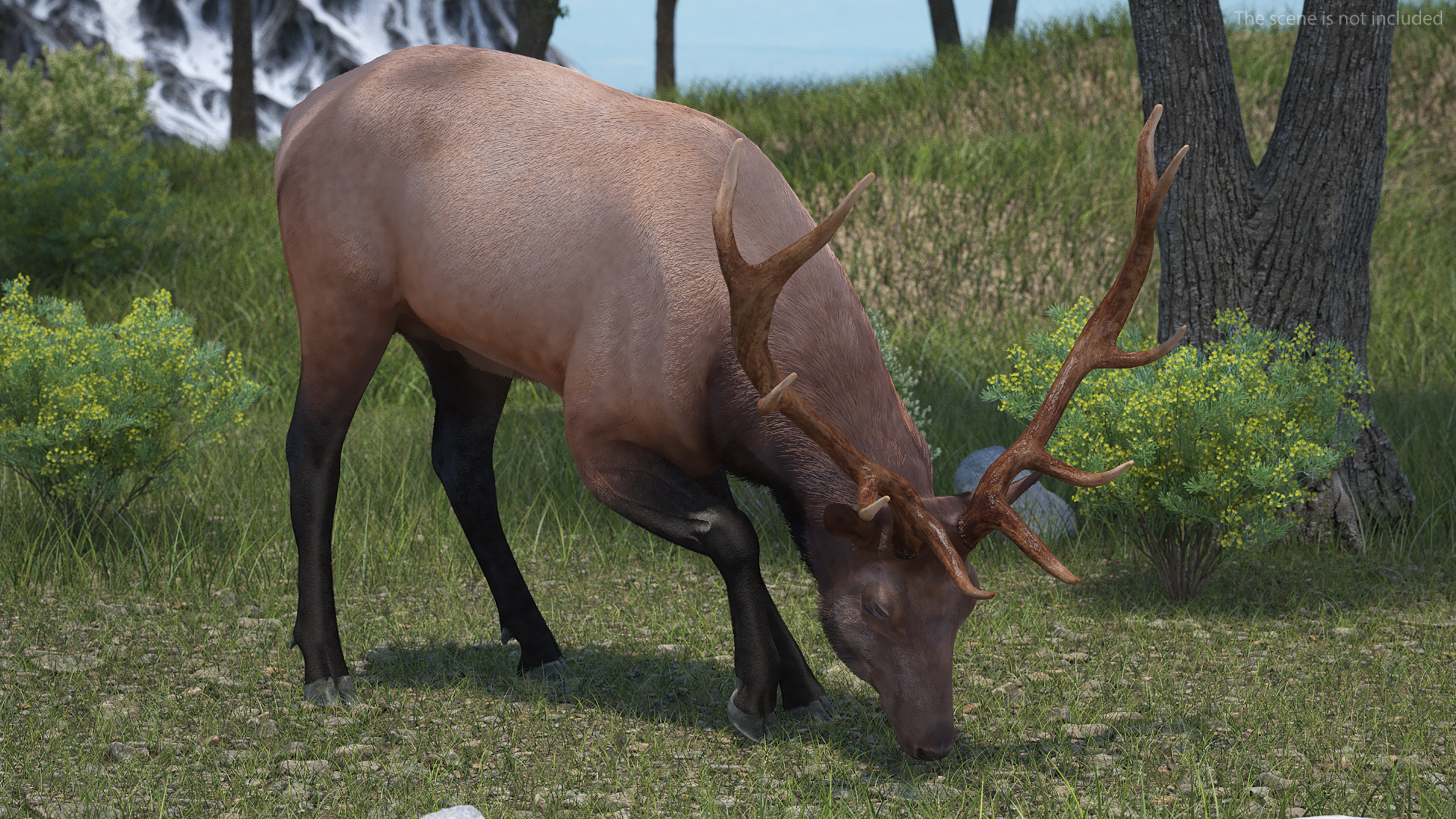 Realistic Elk Rigged with Fur 3D model