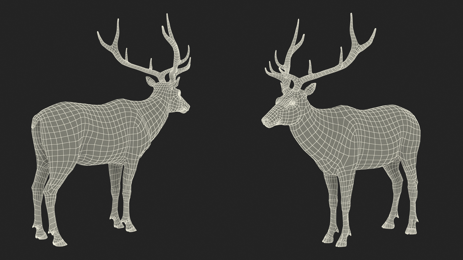 Realistic Elk Rigged with Fur 3D model