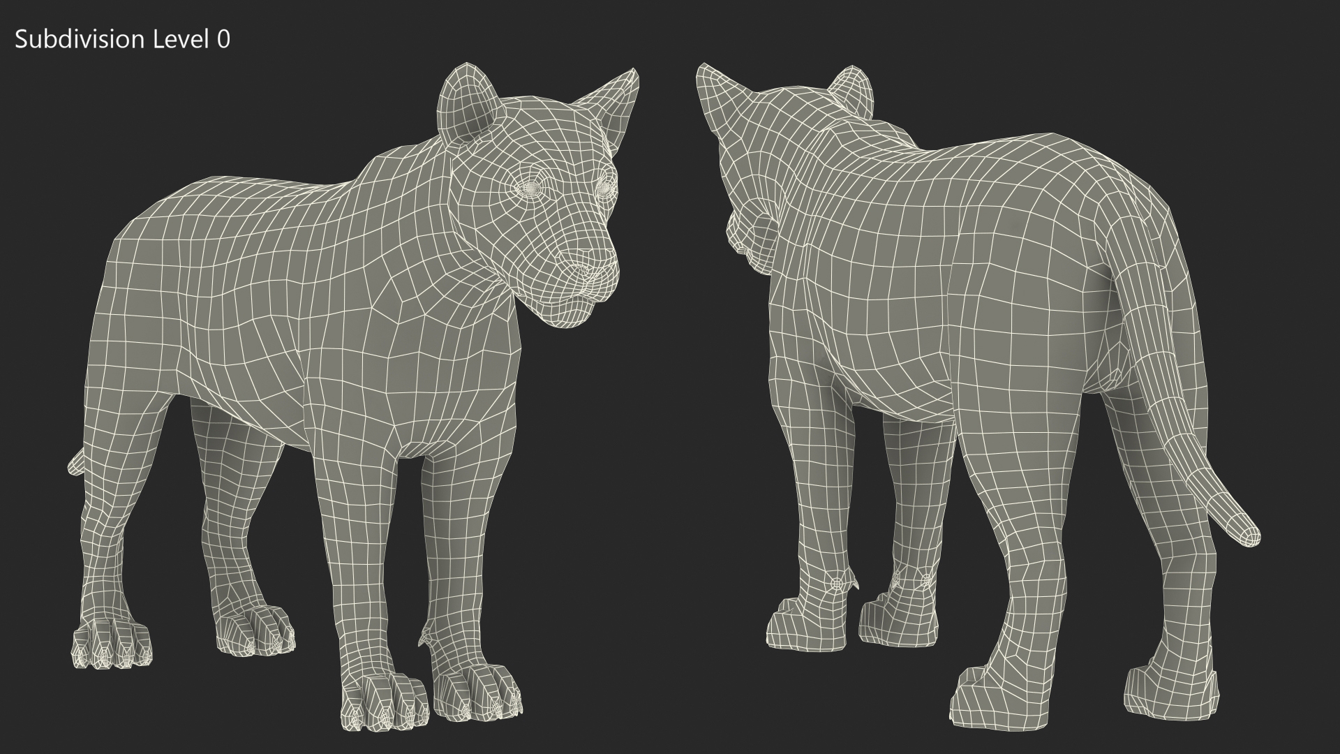 3D model Male Lion Fur Rigged