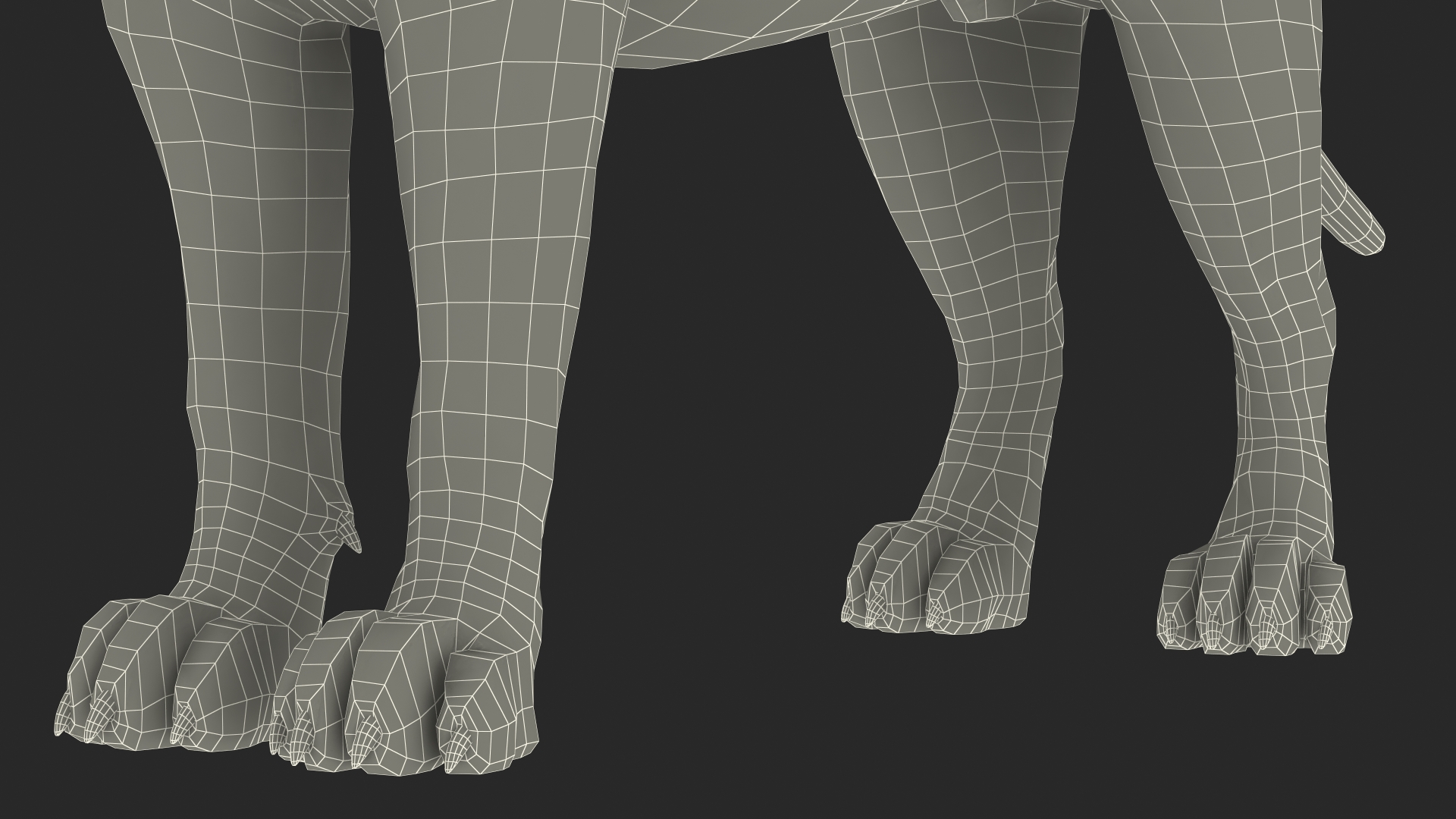 3D model Male Lion Fur Rigged