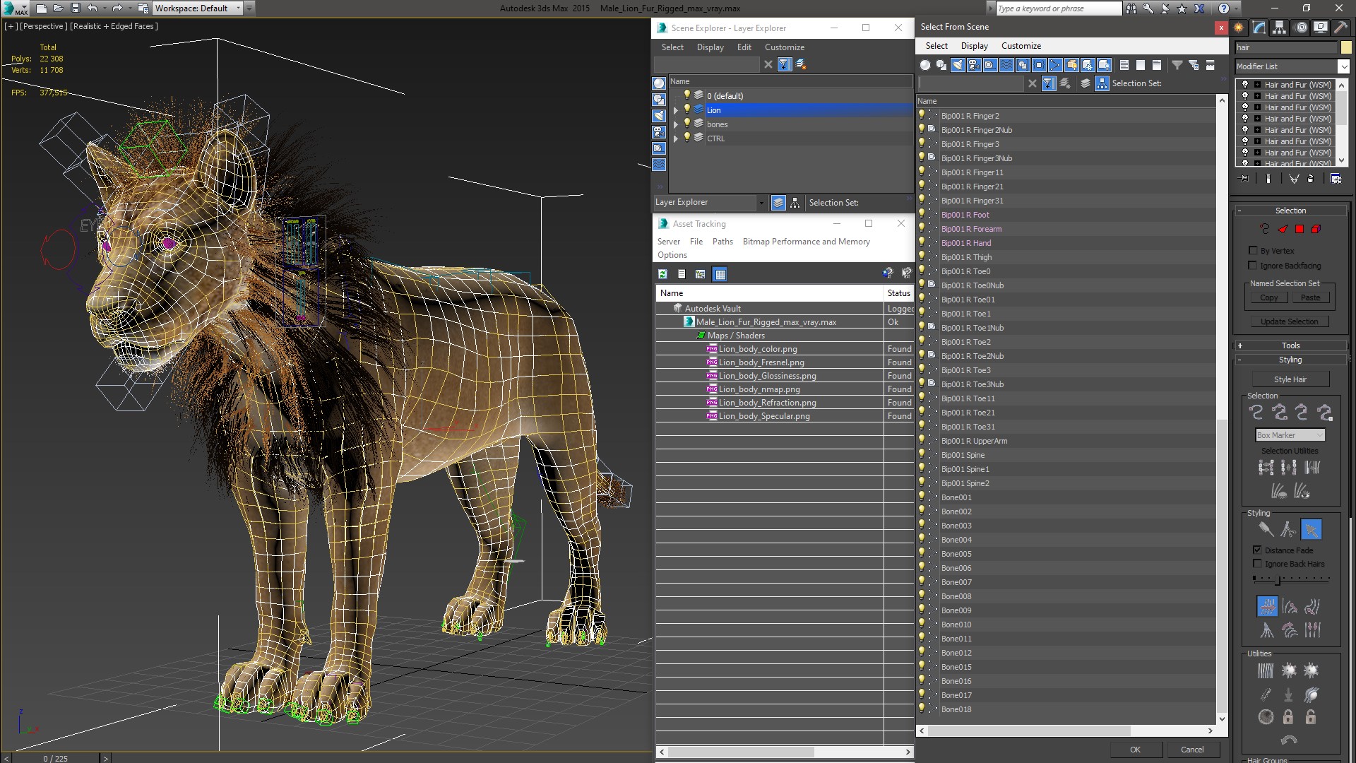 3D model Male Lion Fur Rigged