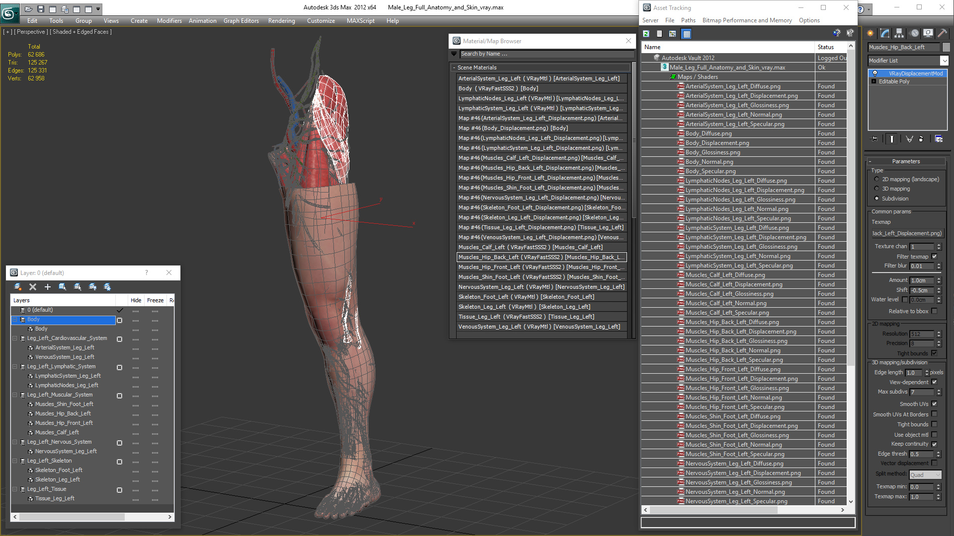 3D model Male Leg Full Anatomy and Skin