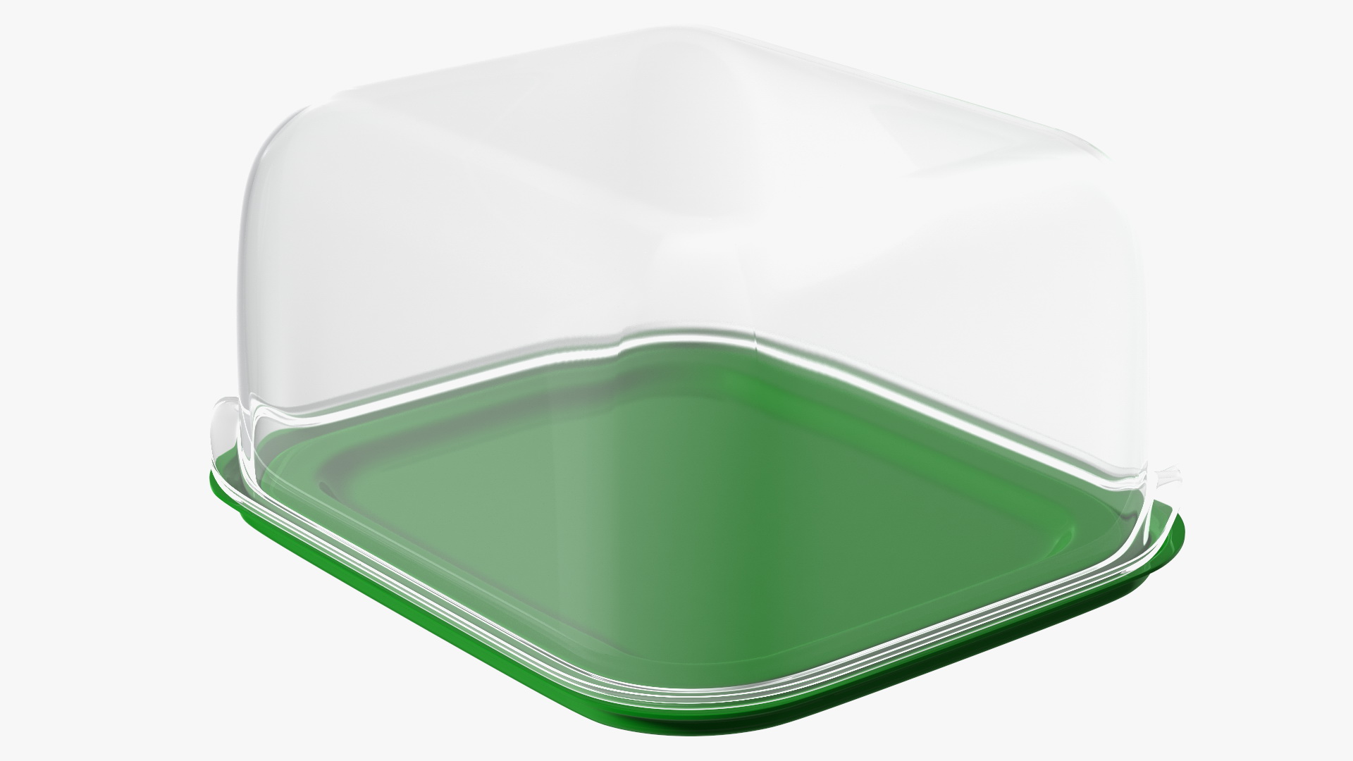 3D Transparent Rectangular Plastic Food Container