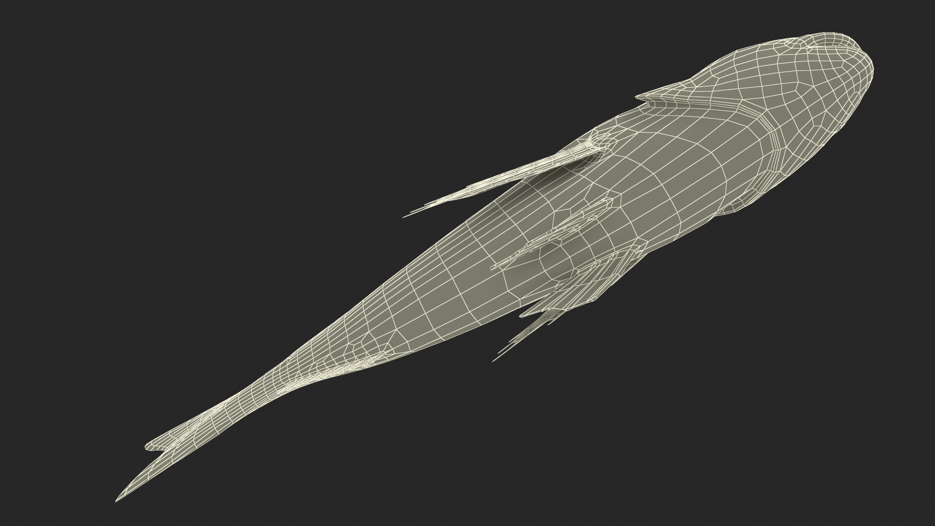 3D Sparus Aurata model