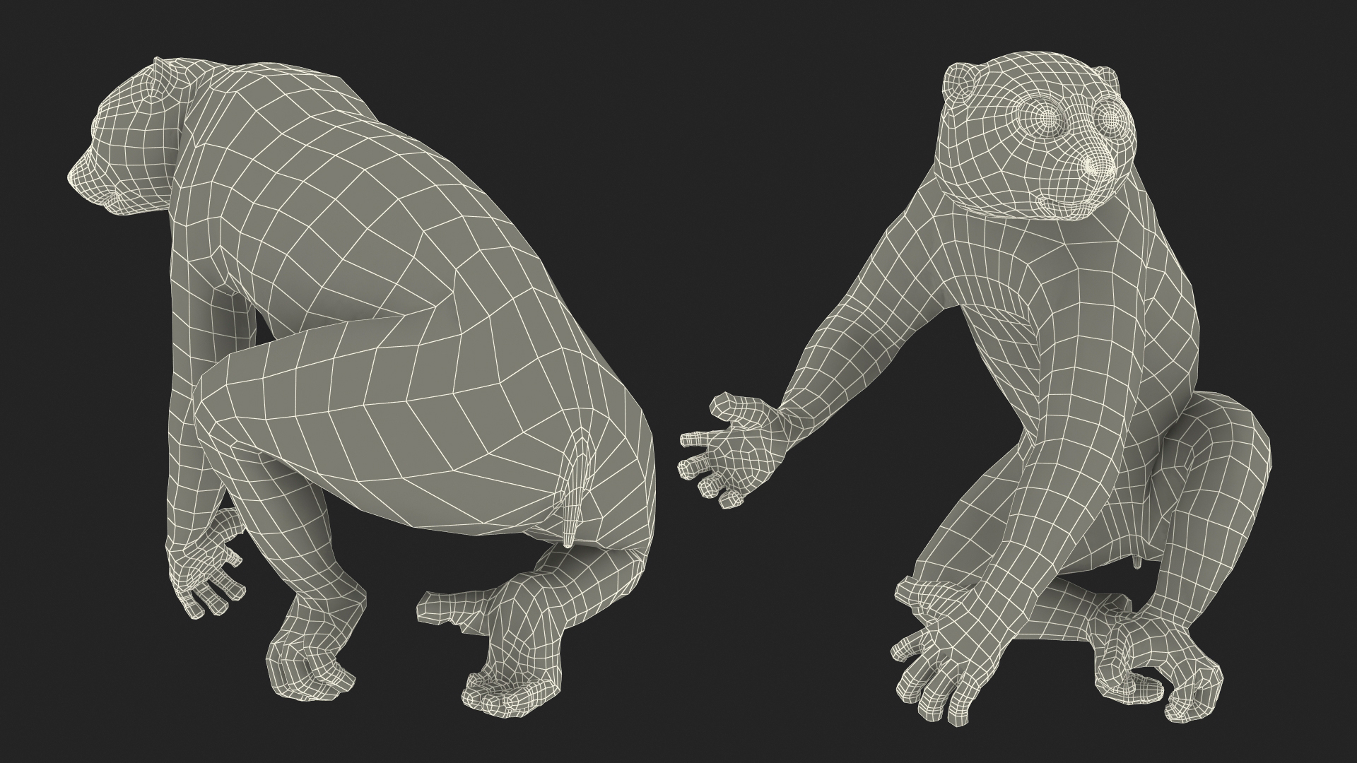 3D Nycticebus Bengalensis Fur