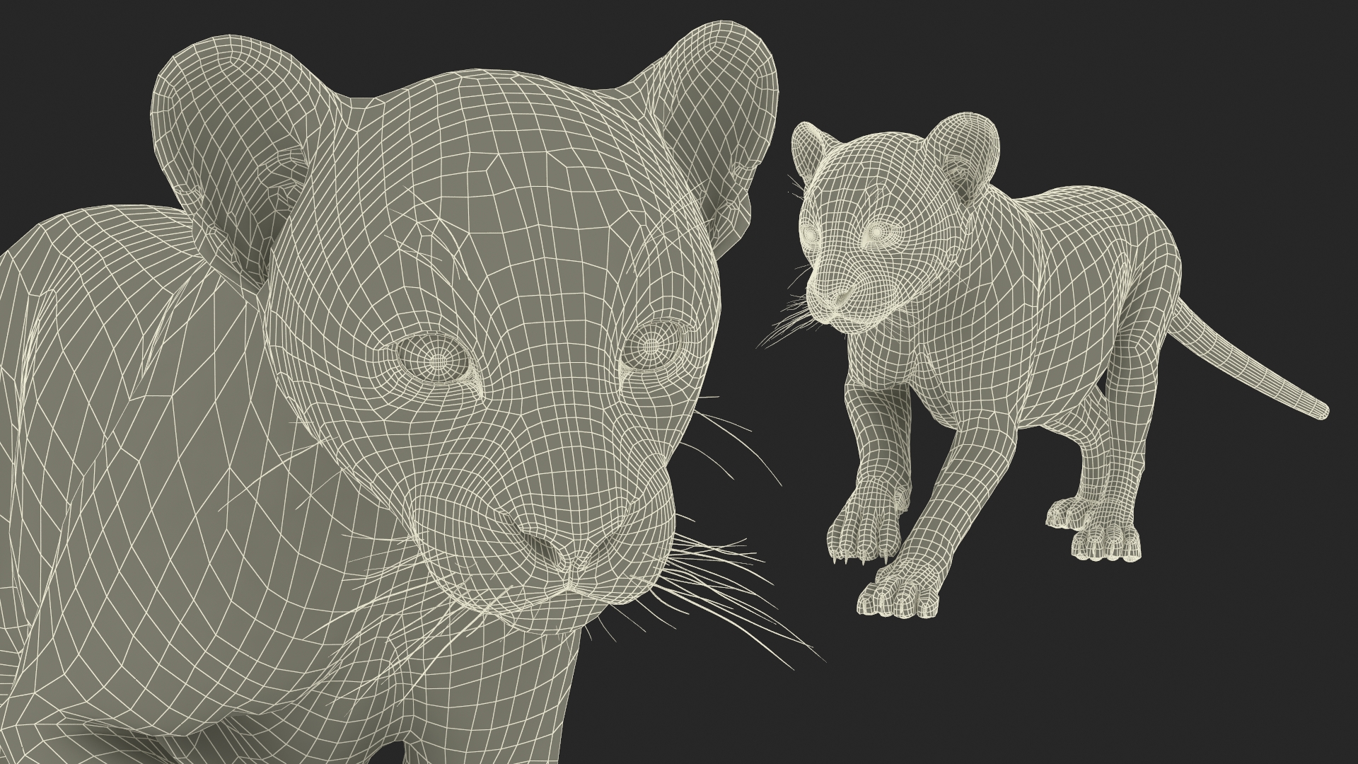 3D Panther Cub Wary Pose