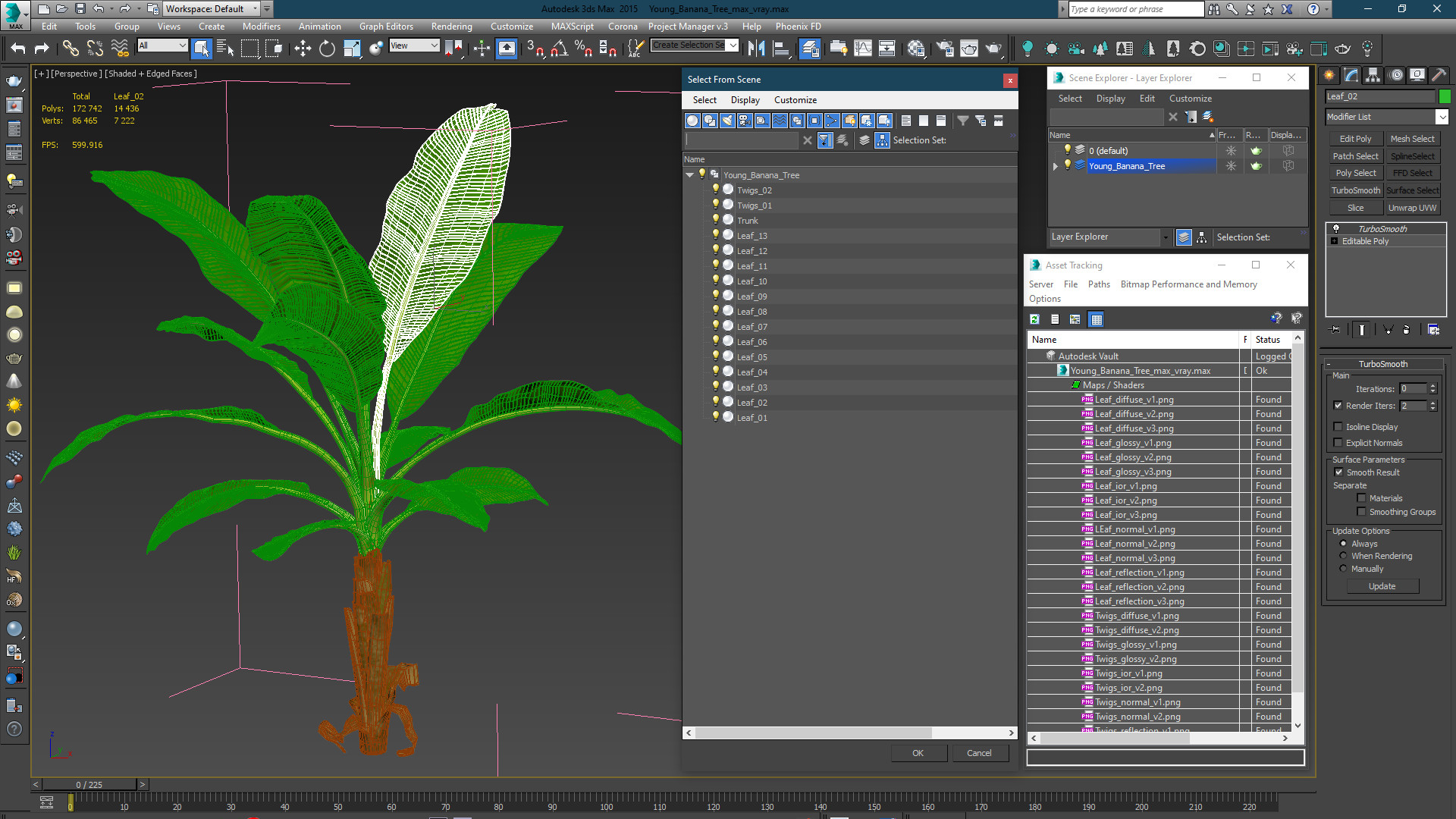 Young Banana Tree 3D